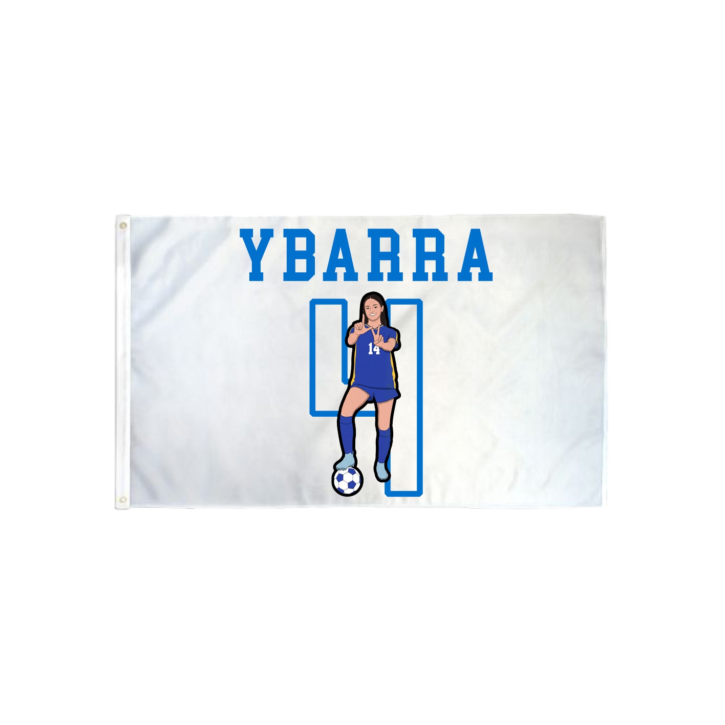 3x5 Flag — Shirsey in Classic
