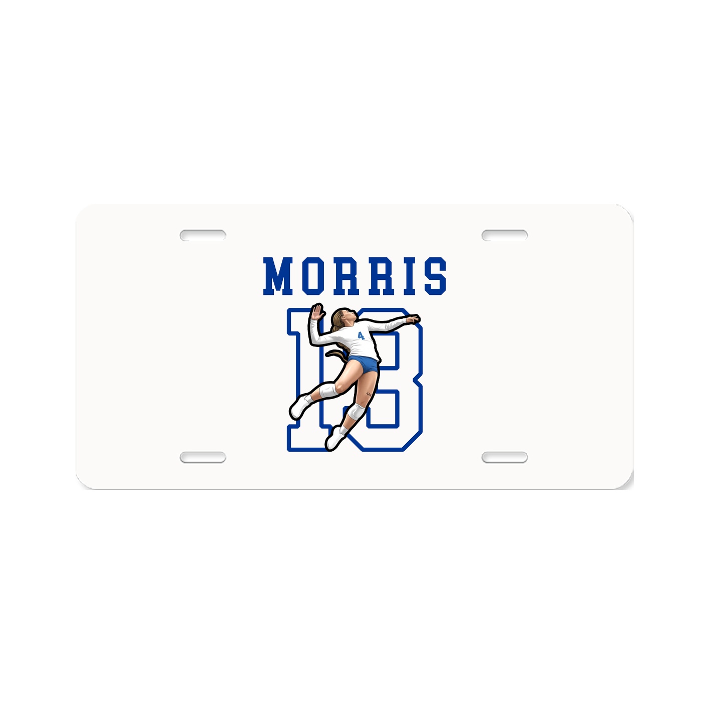 License Plate