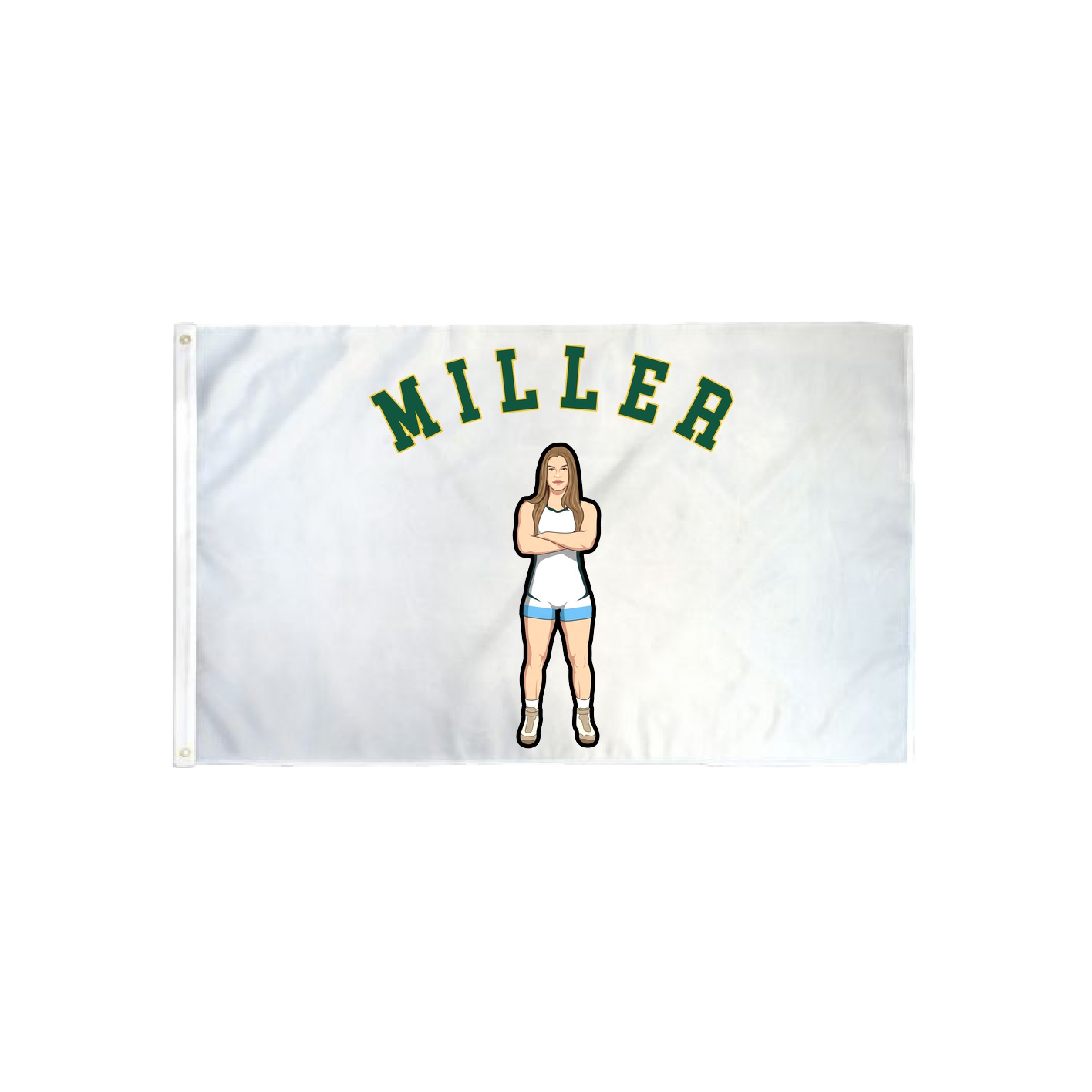 3x5 Flag — Shirsey Arch in Classic
