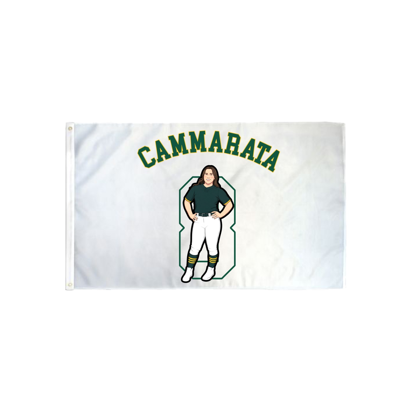 3x5 Flag — Shirsey Arch in Classic