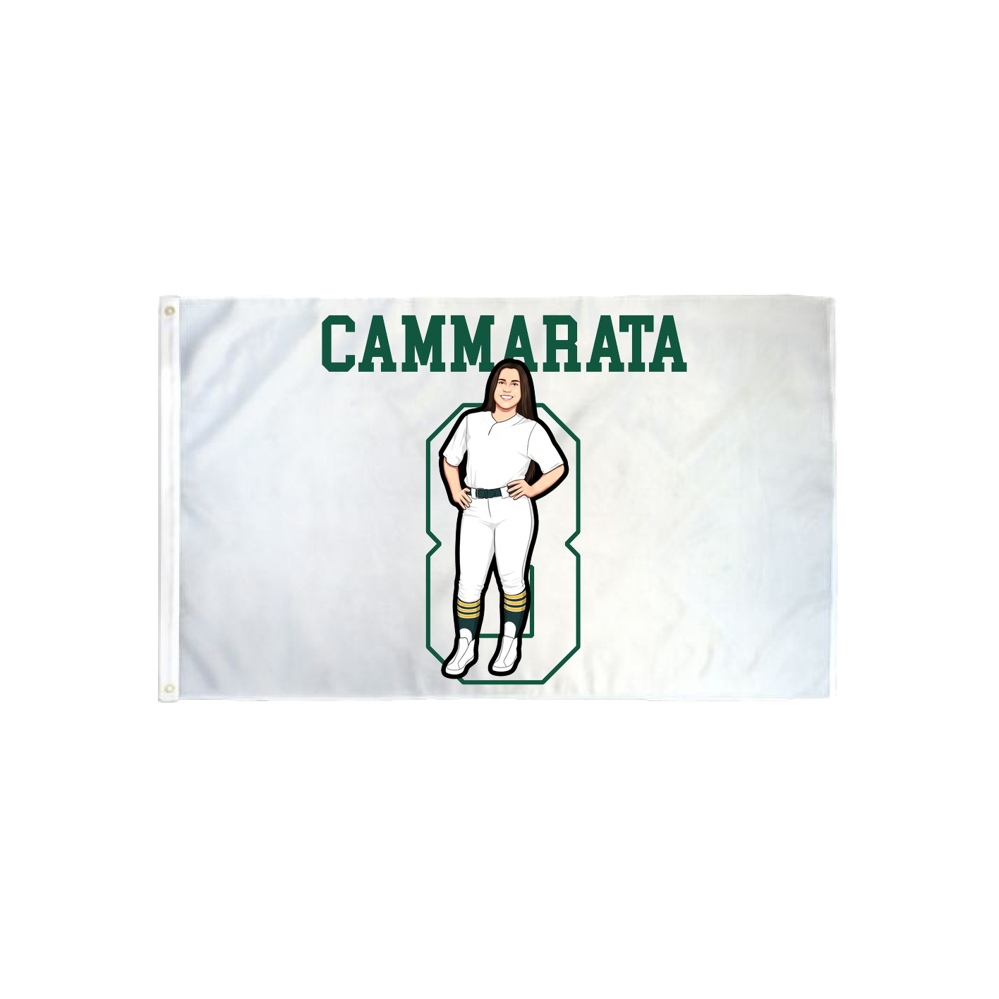 3x5 Flag — Shirsey in Classic