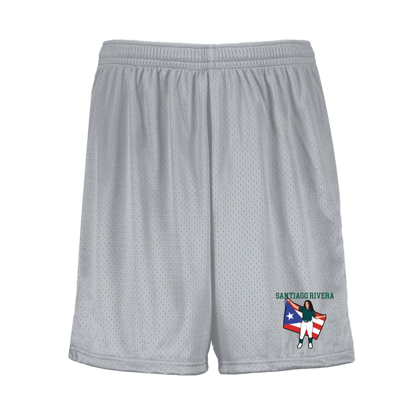 Shorts — Shirsey in Silver