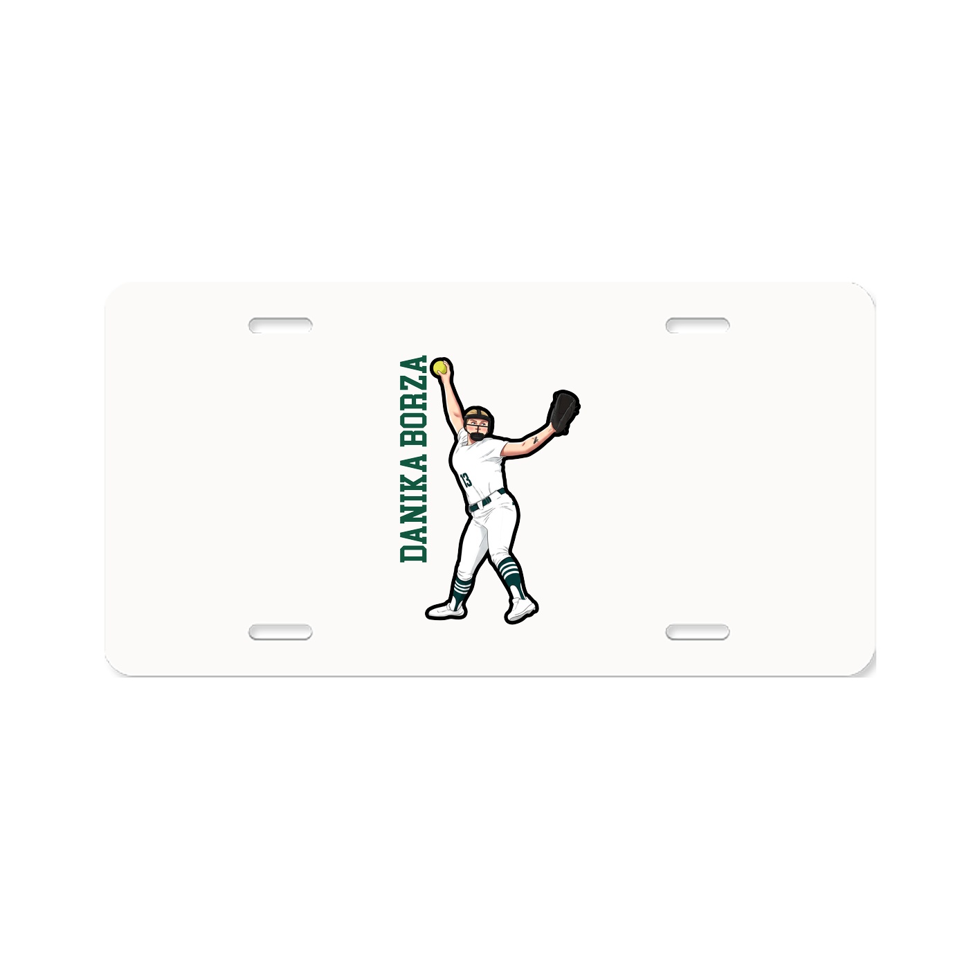 Aluminum License Plate