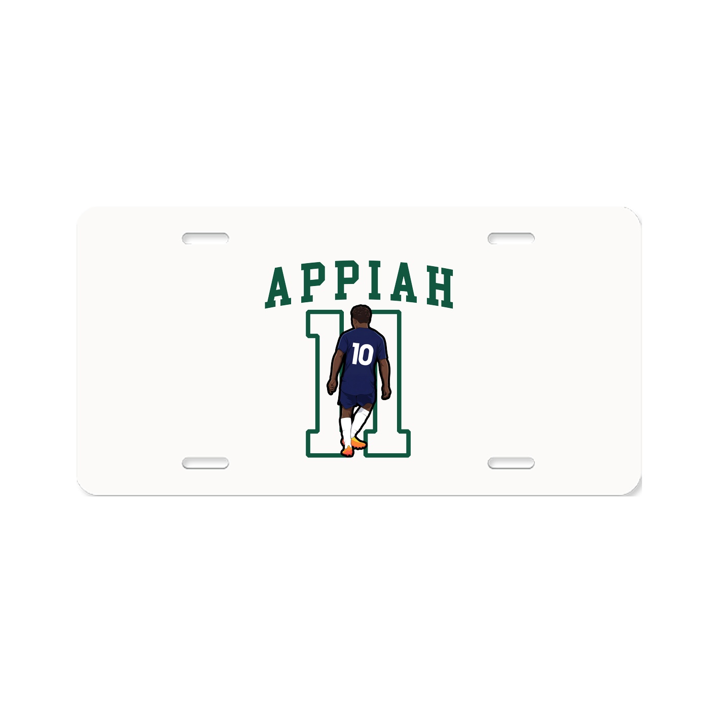 Aluminum License Plate