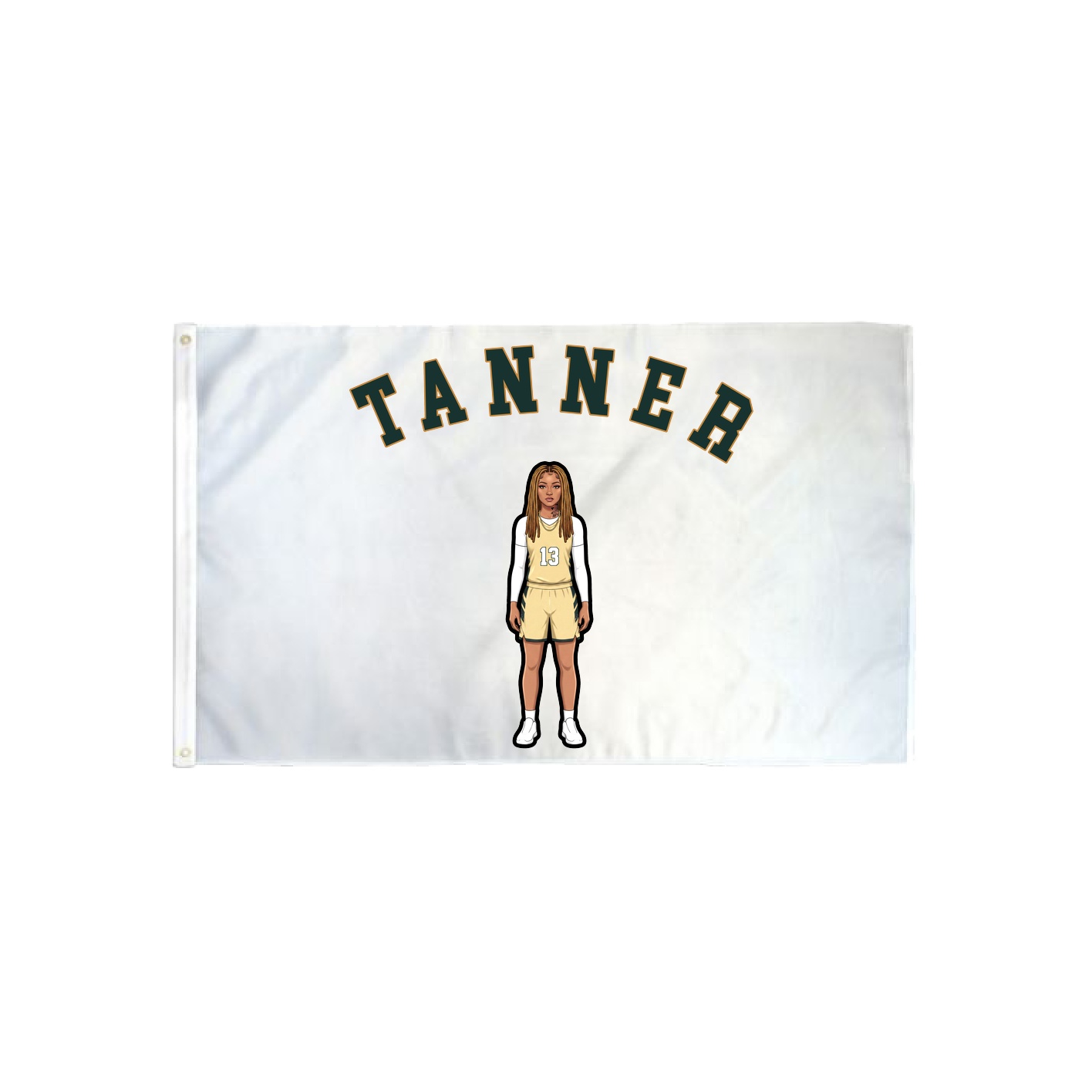 3x5 Flag — Shirsey Arch in Classic