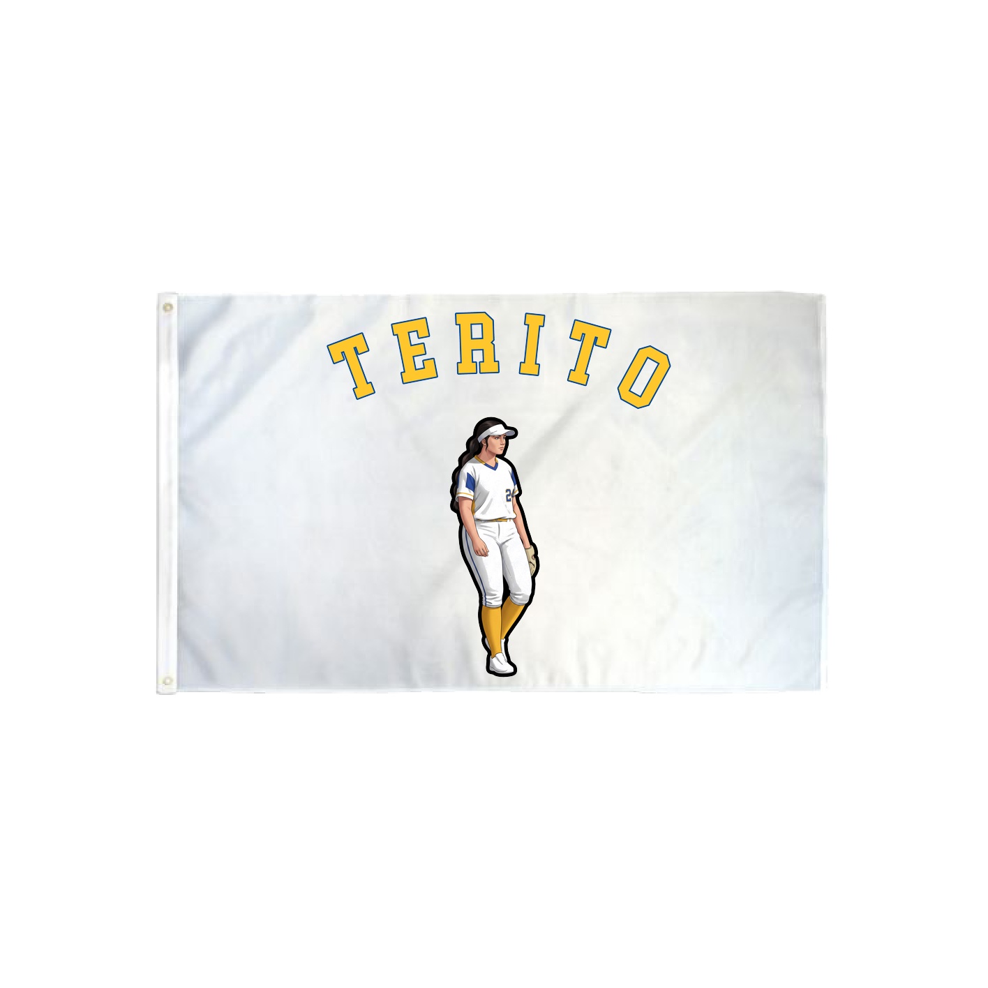 3x5 Flag — Shirsey Arch in Classic