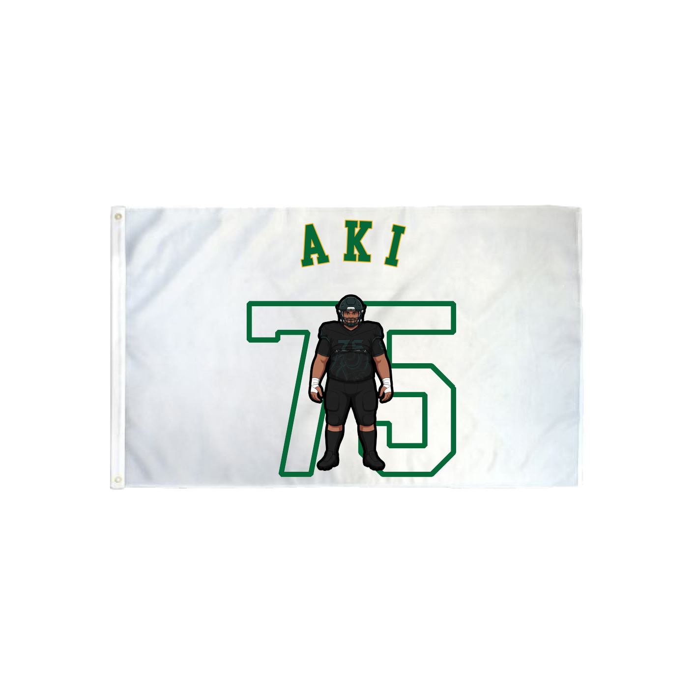 3x5 Flag — Shirsey Arch in Classic