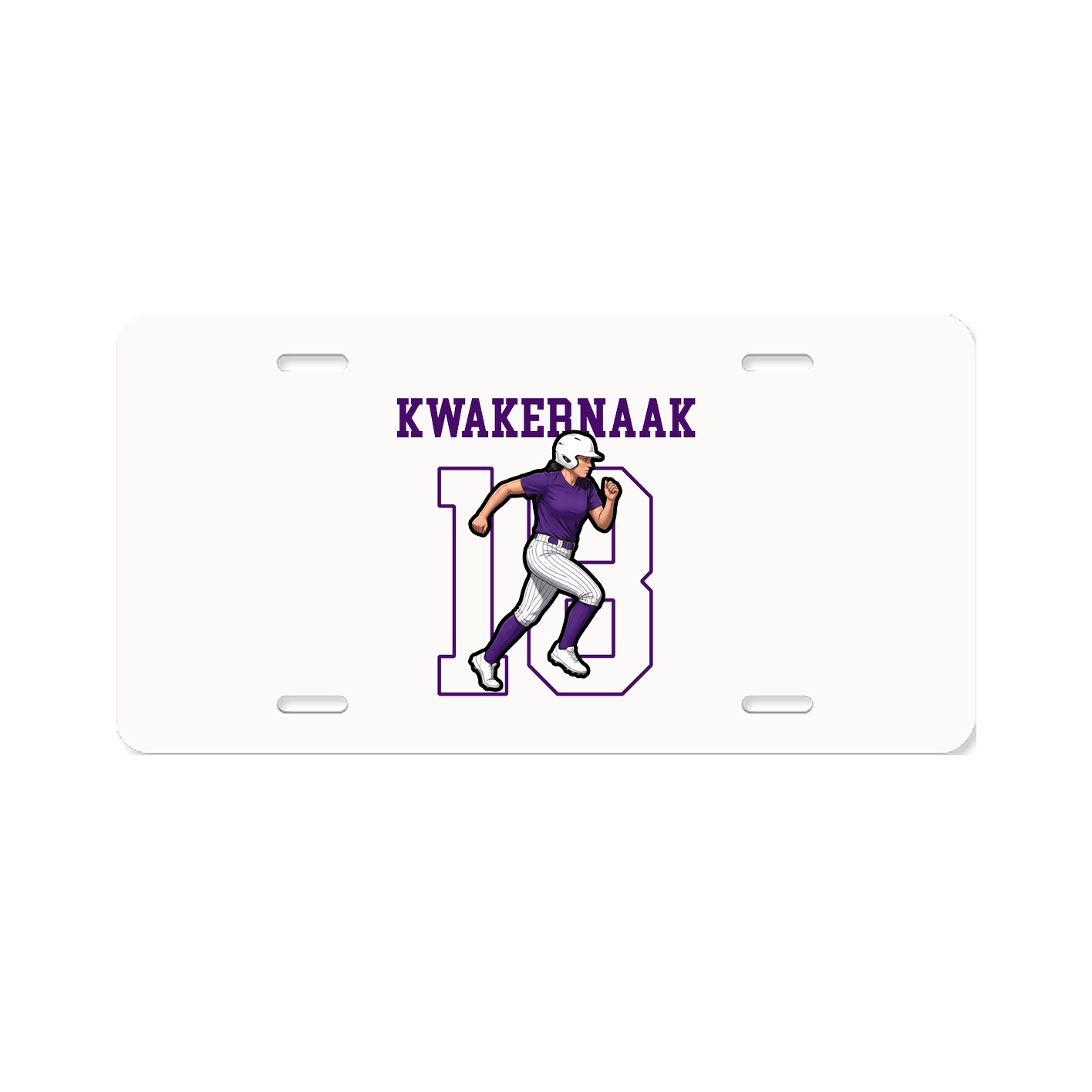 Aluminum License Plate