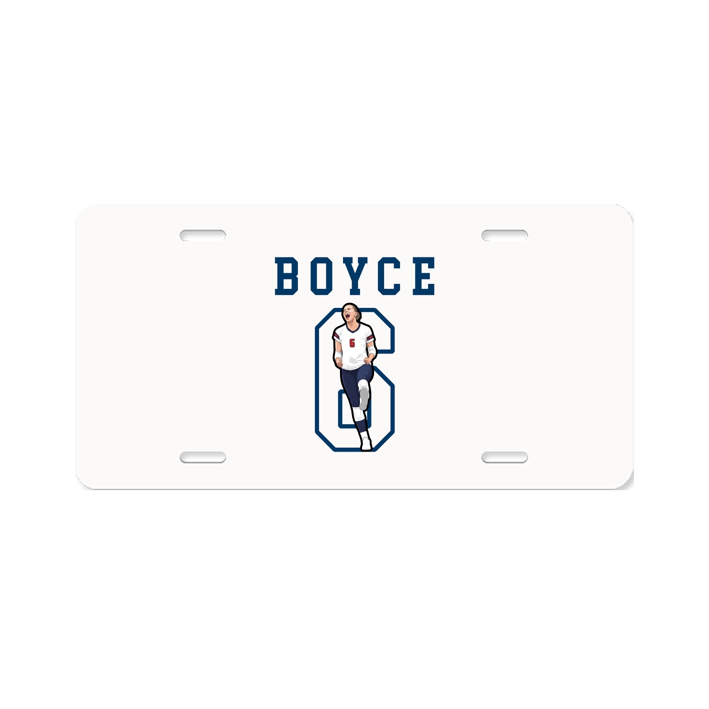 Aluminum License Plate