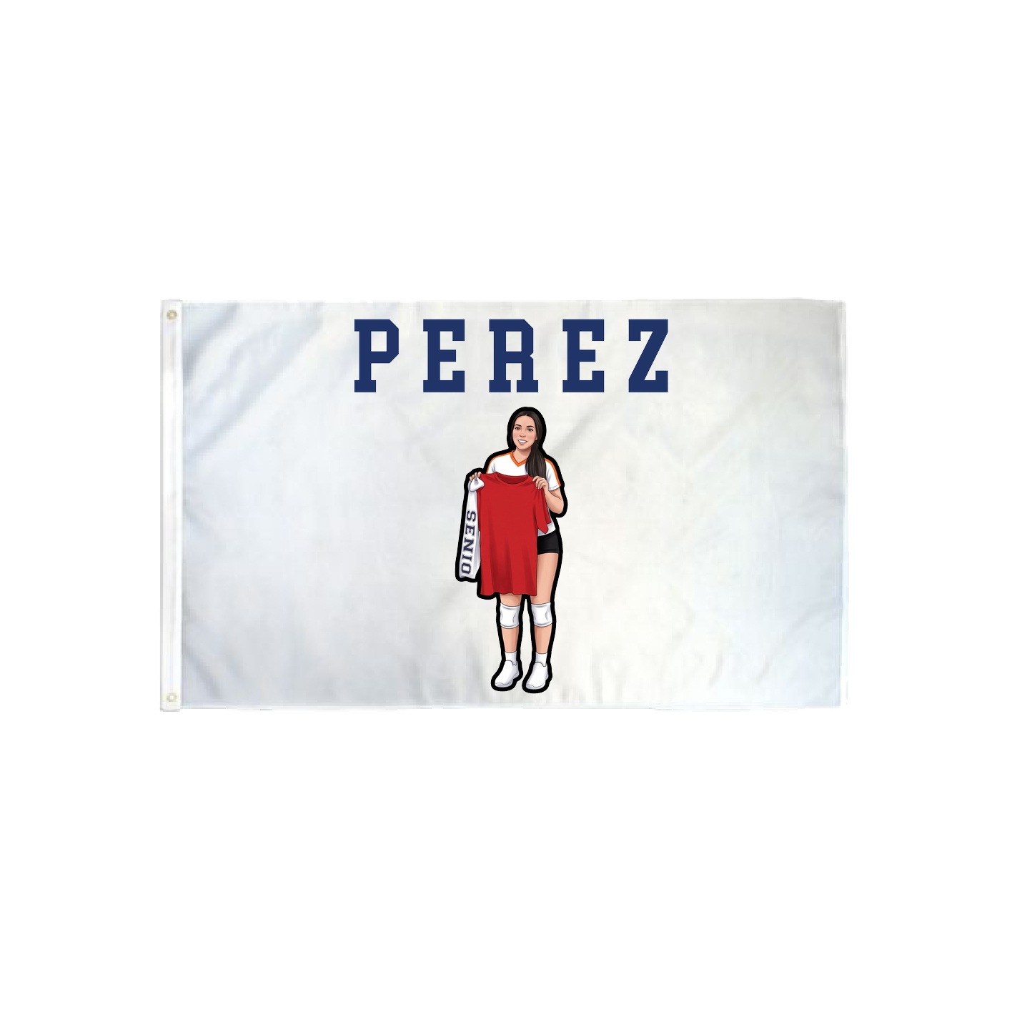 3x5 Flag — Shirsey in Classic