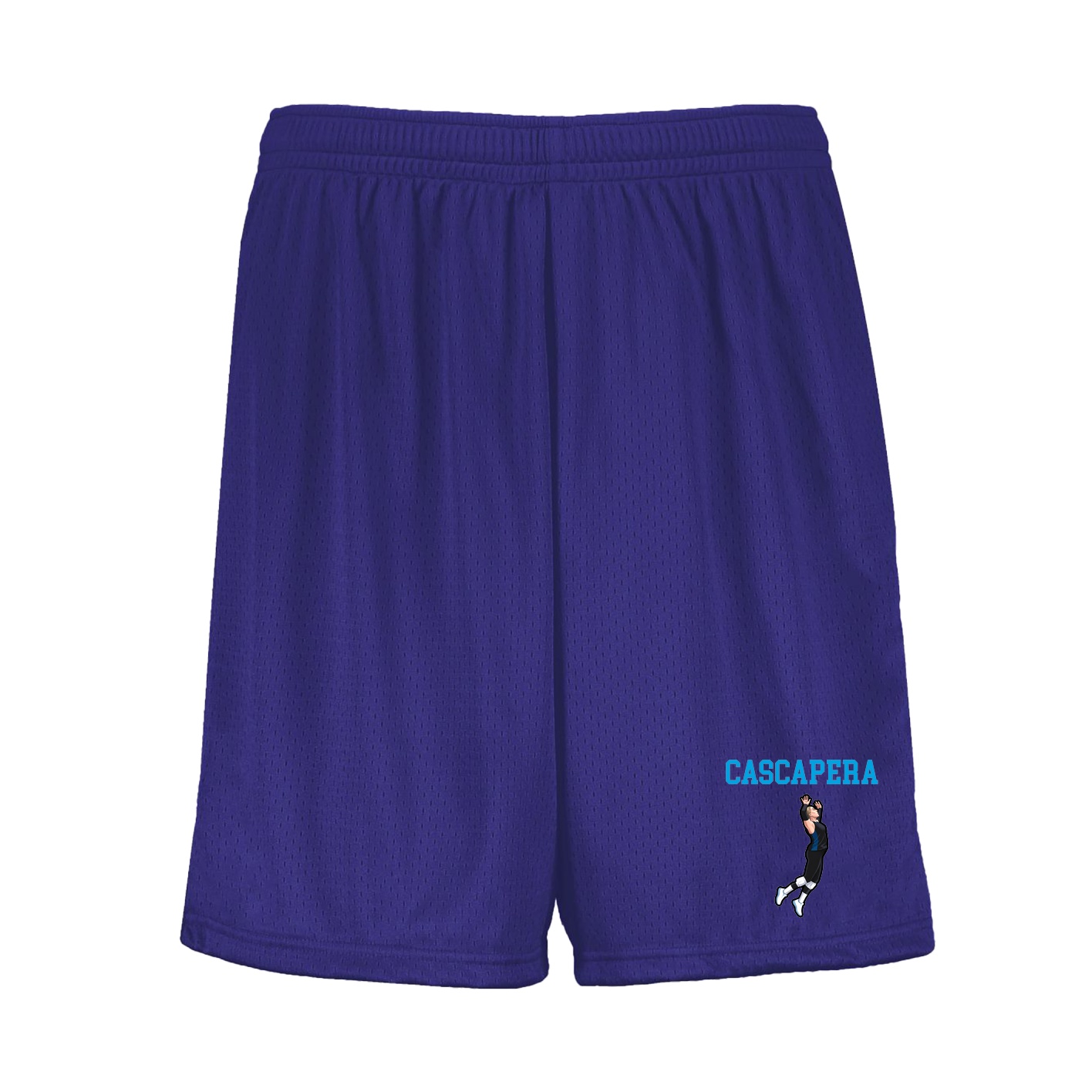 Shorts — Shirsey in Purple