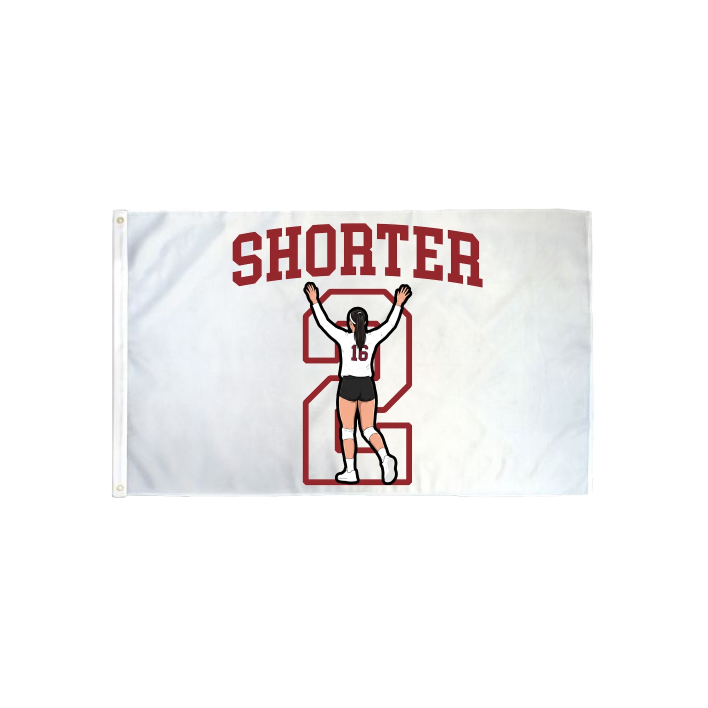 3x5 Flag — Shirsey in Classic