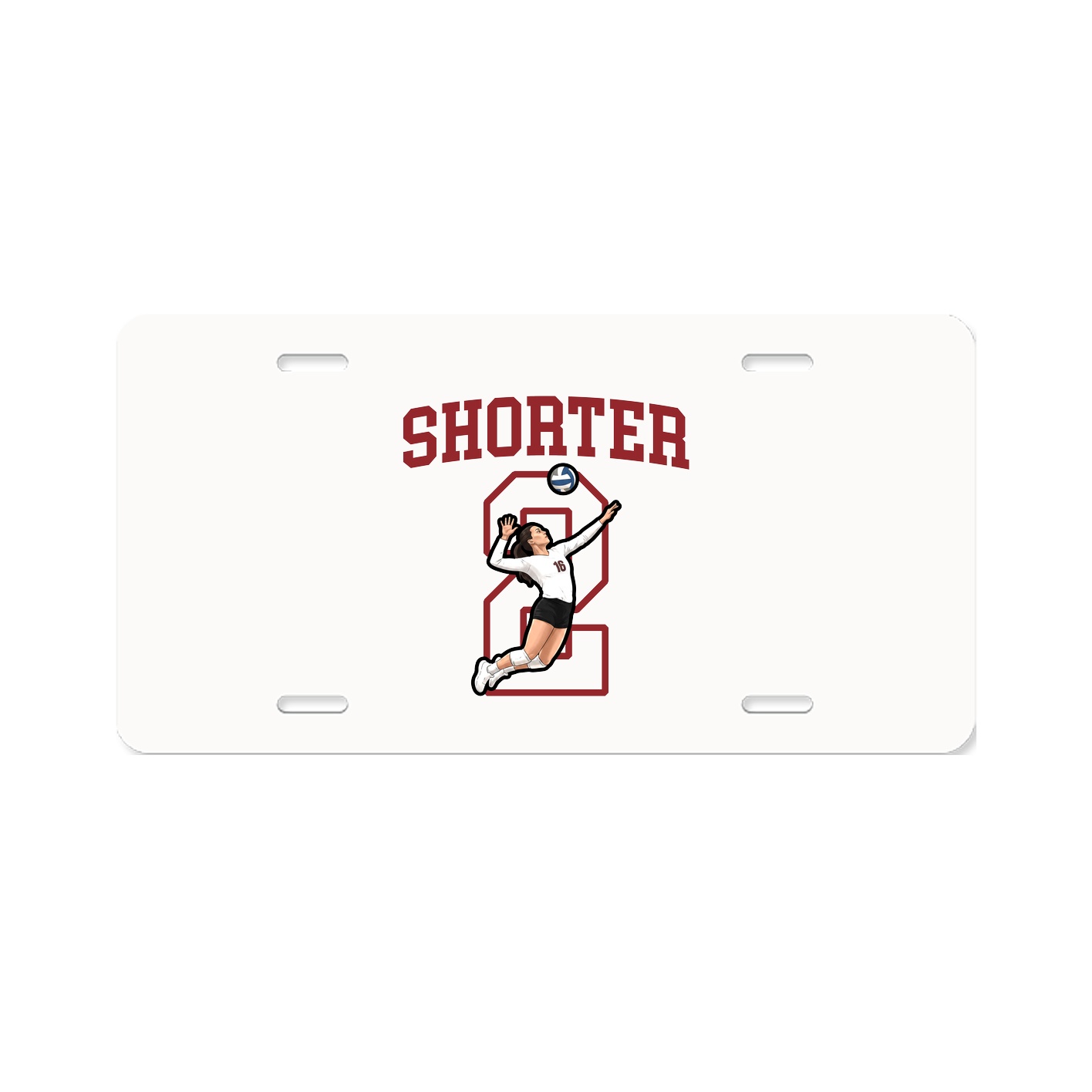 Aluminum License Plate