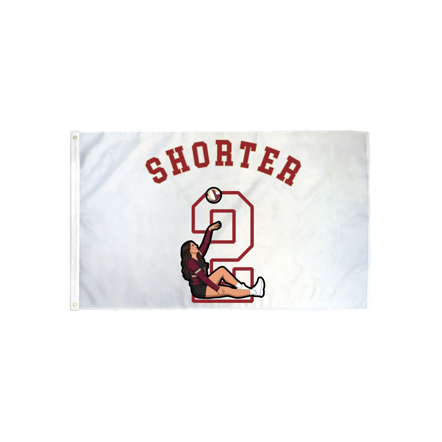 3x5 Flag — Shirsey Arch in Classic