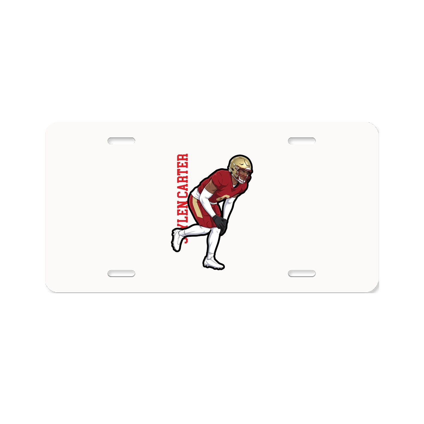 Aluminum License Plate