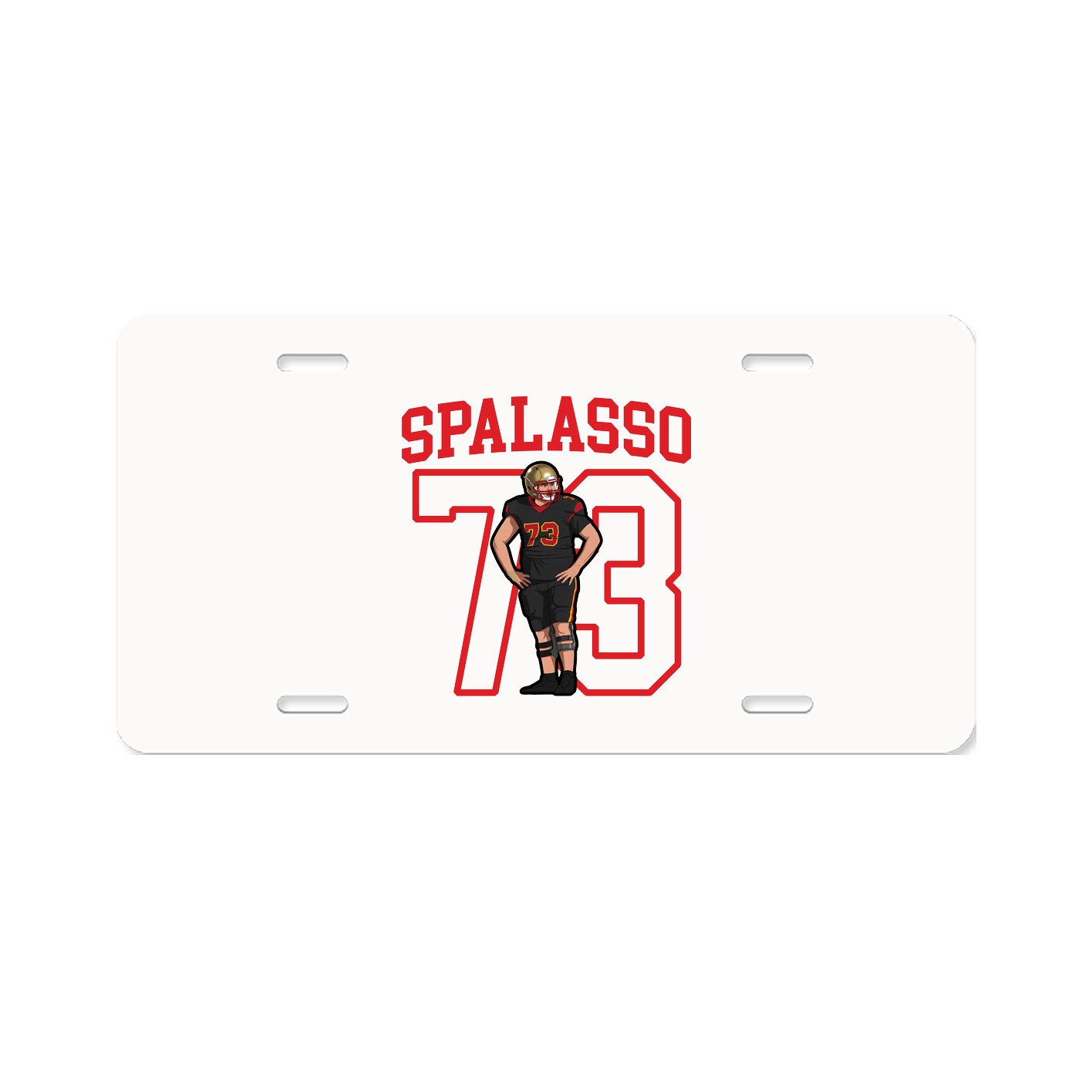 Aluminum License Plate