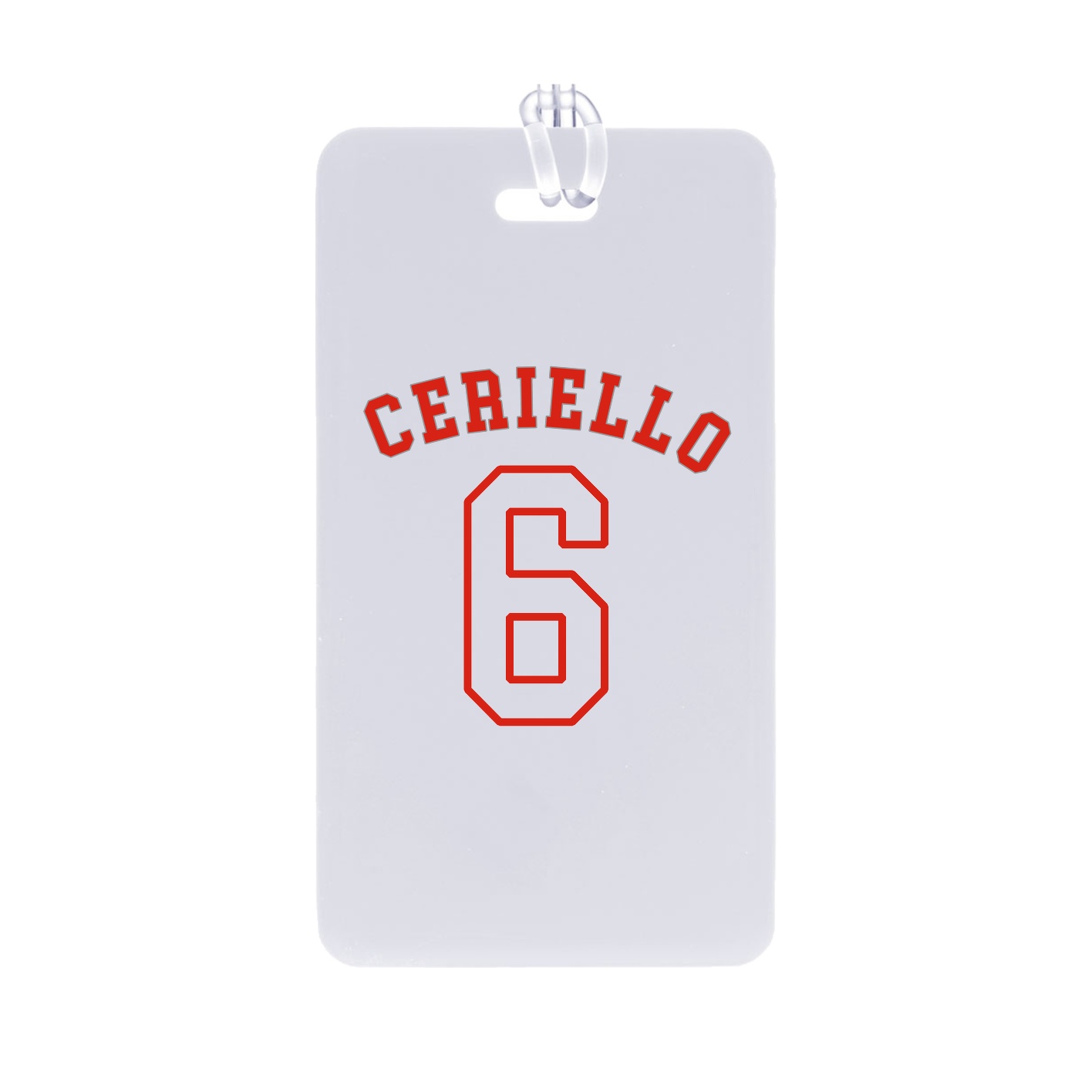 Bag Tag — Shirsey Arch in Classic