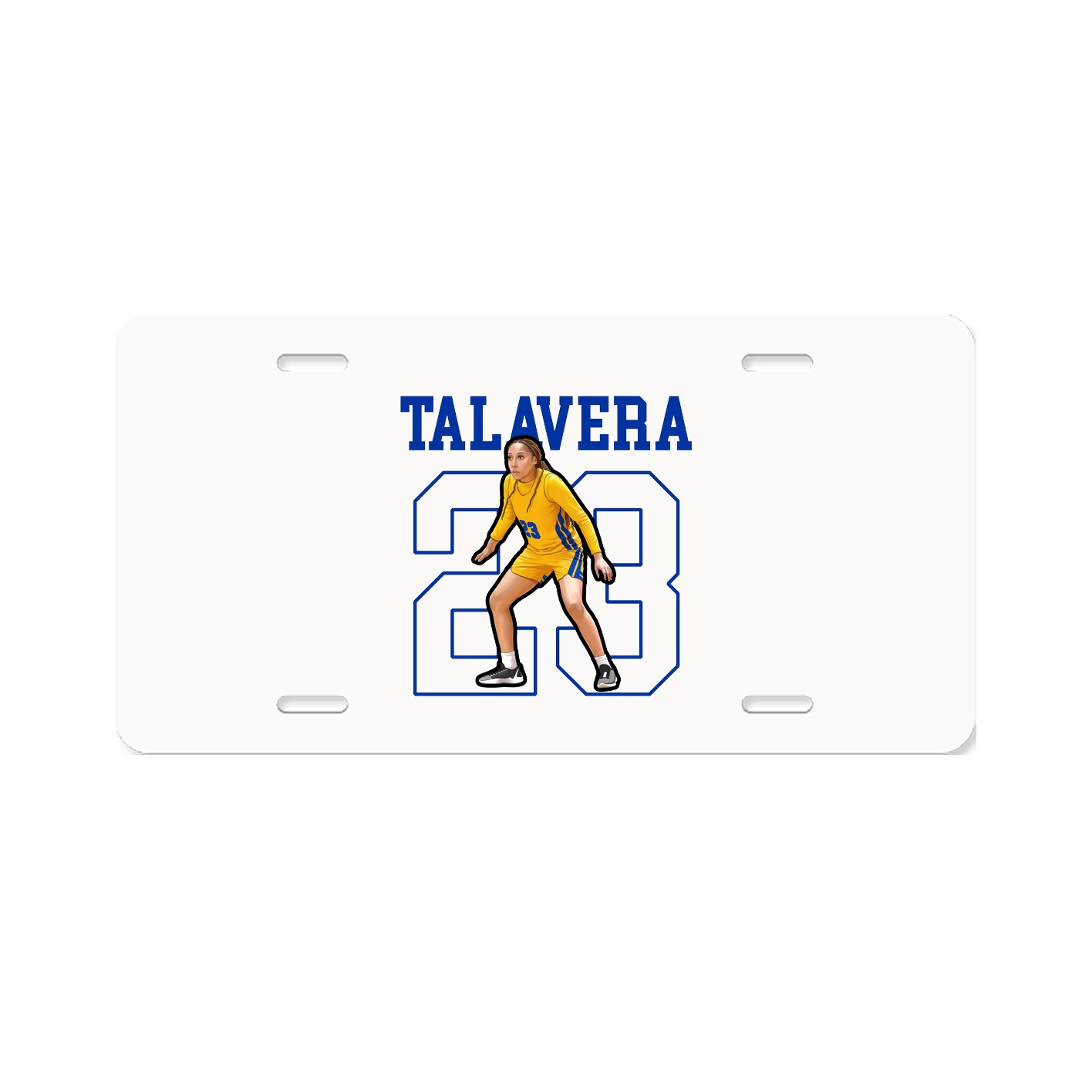 License Plate