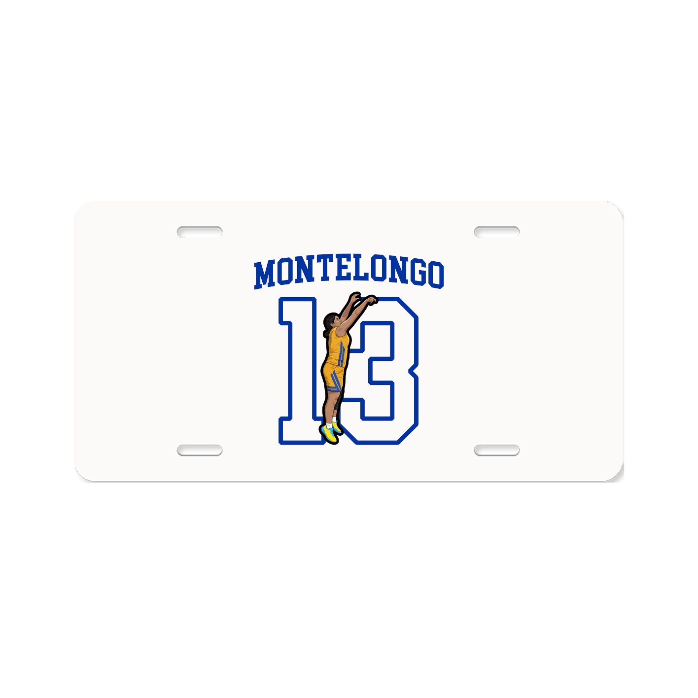 License Plate
