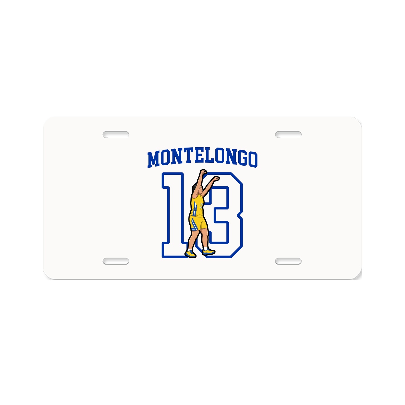License Plate