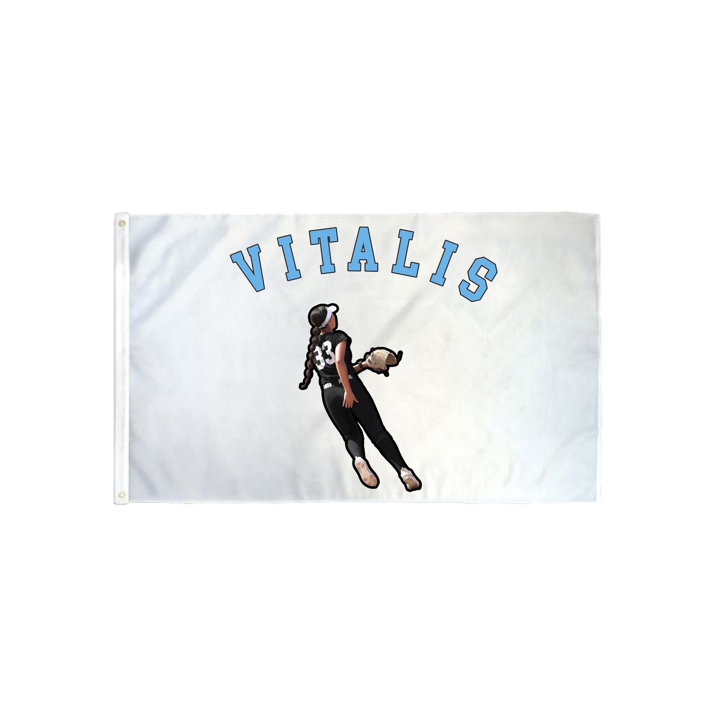 3x5 Flag — Shirsey Arch in Classic