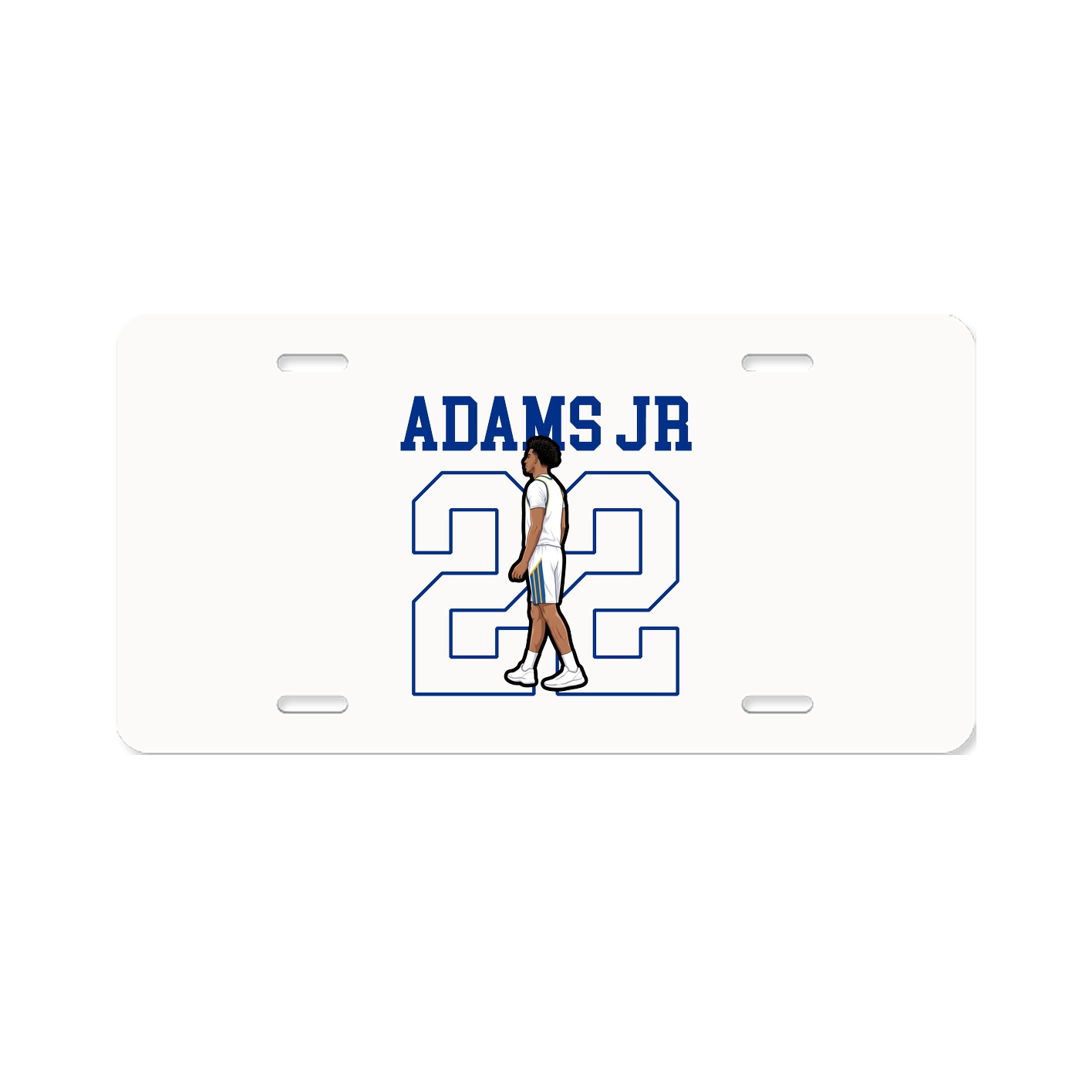 License Plate