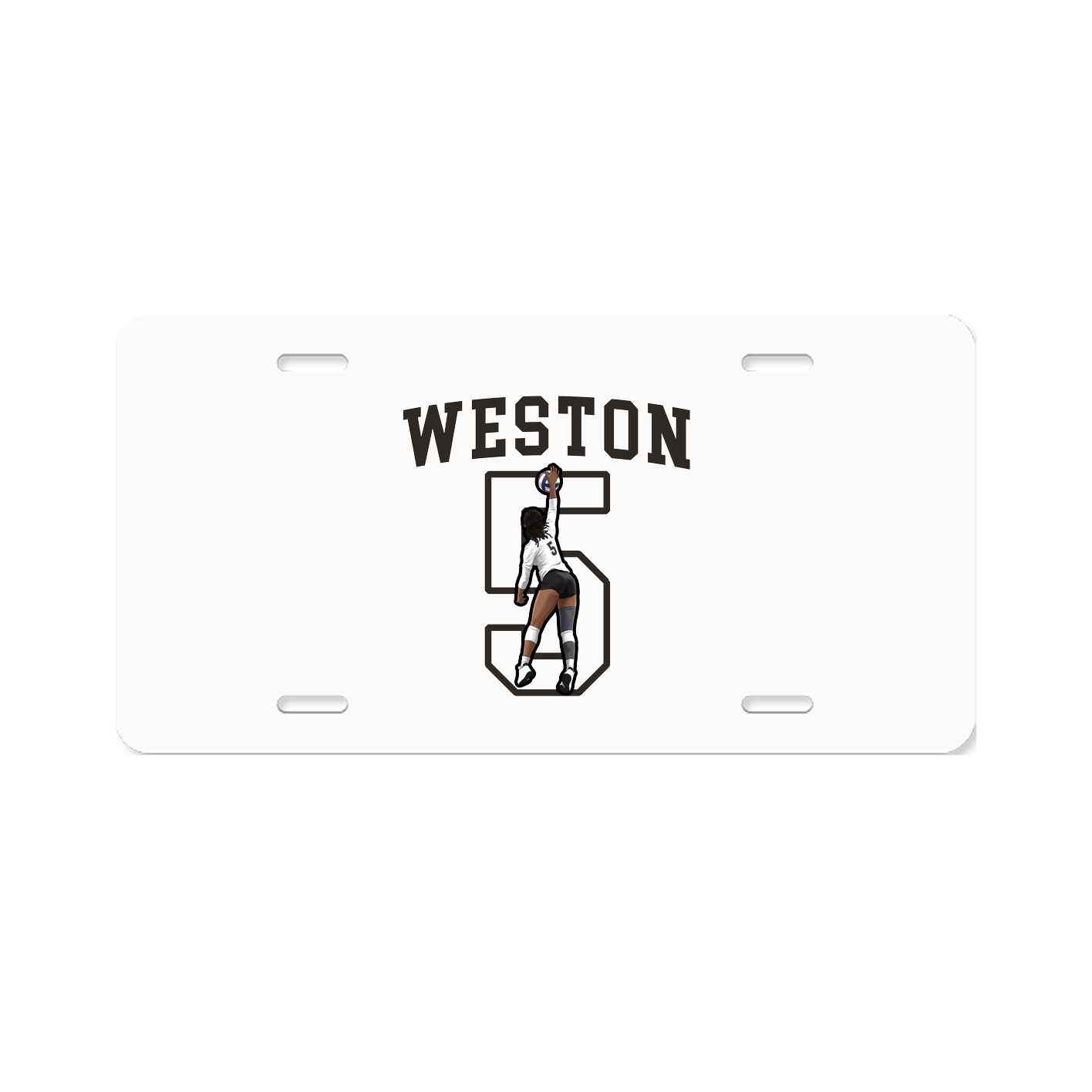 Aluminum License Plate