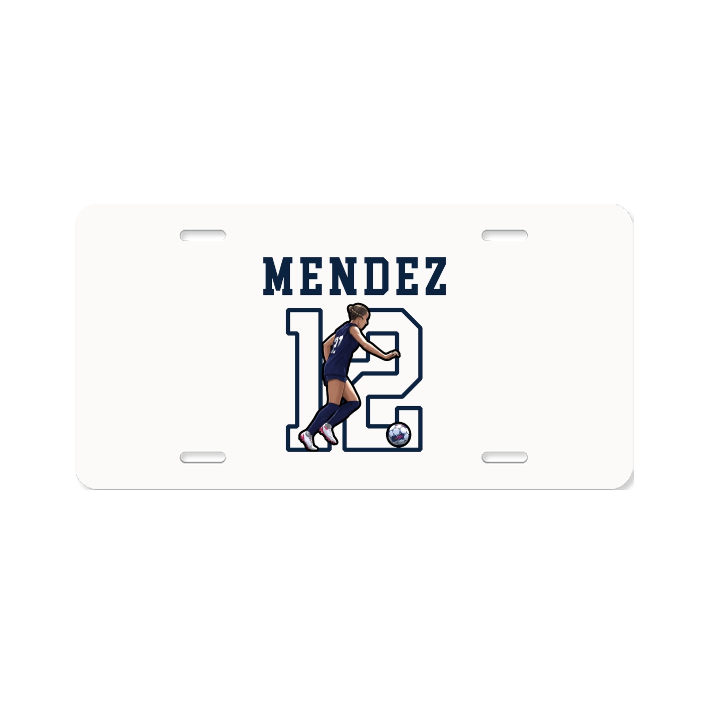 Aluminum License Plate