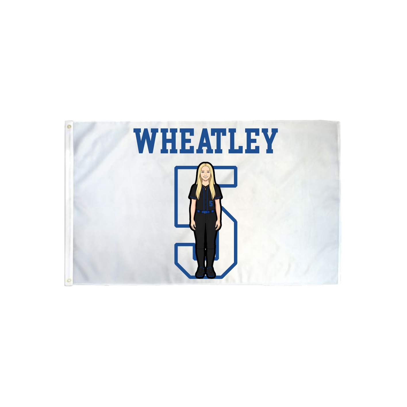 3x5 Flag — Shirsey in Classic