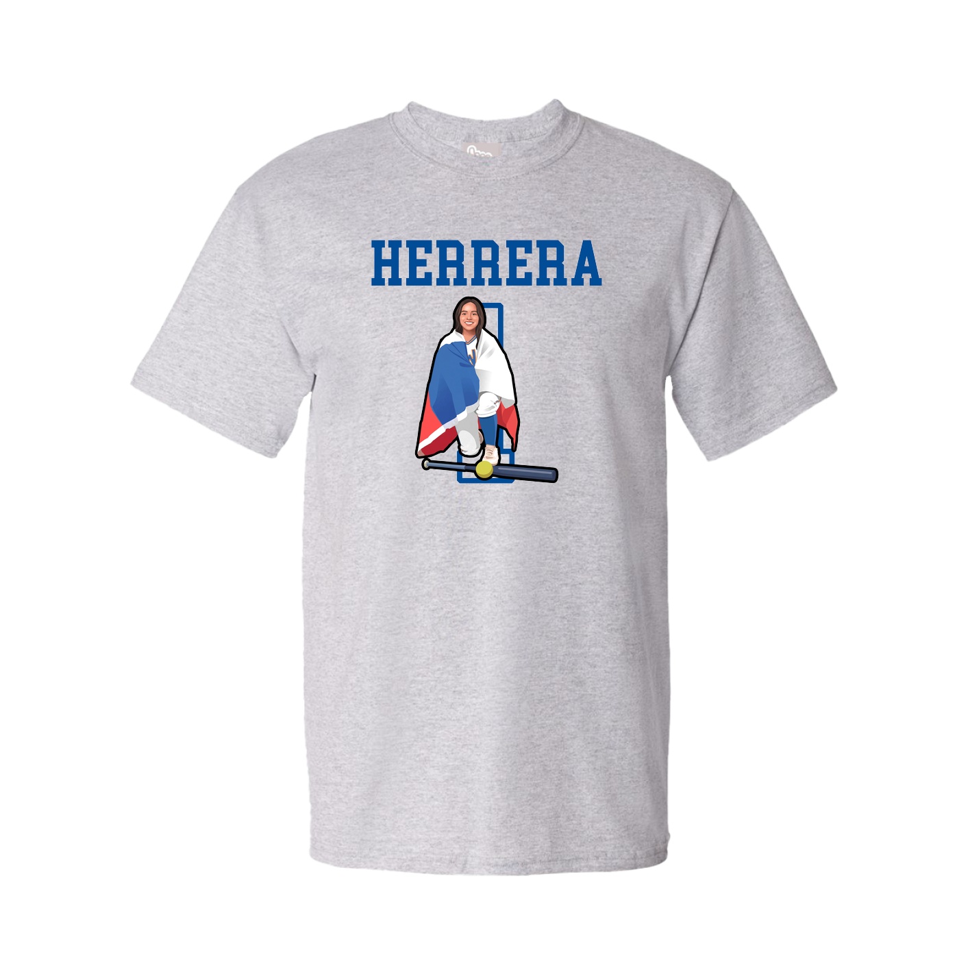Tee — Shirsey in Grey