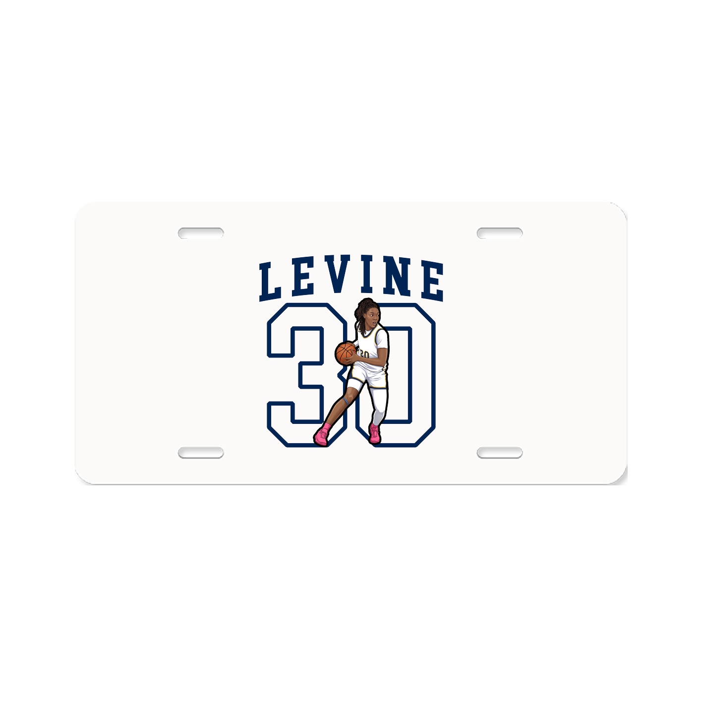 Aluminum License Plate