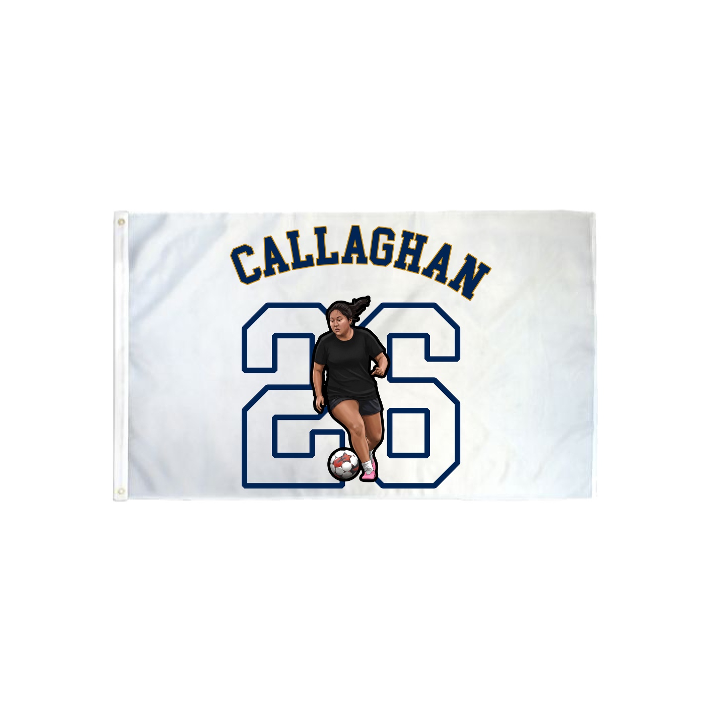 3x5 Flag — Shirsey Arch in Classic