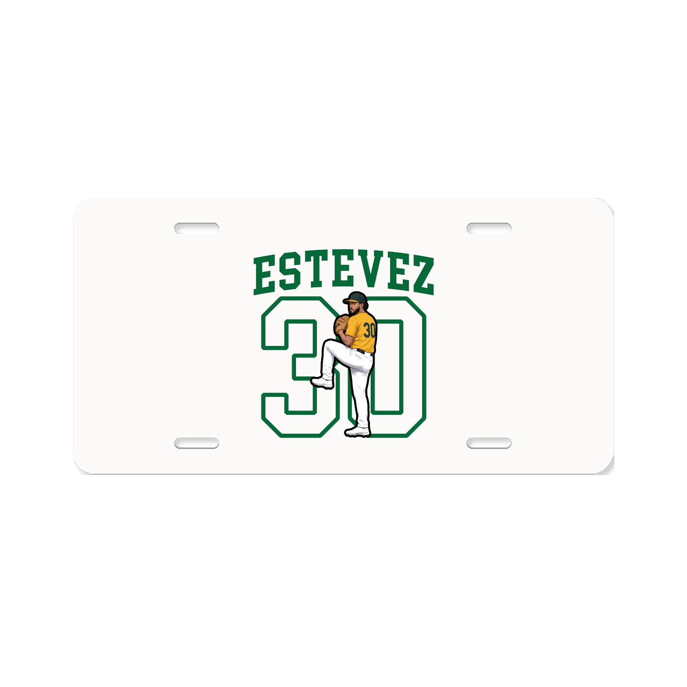 Aluminum License Plate