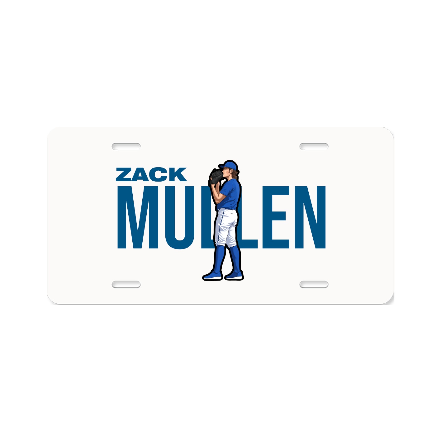 License Plate