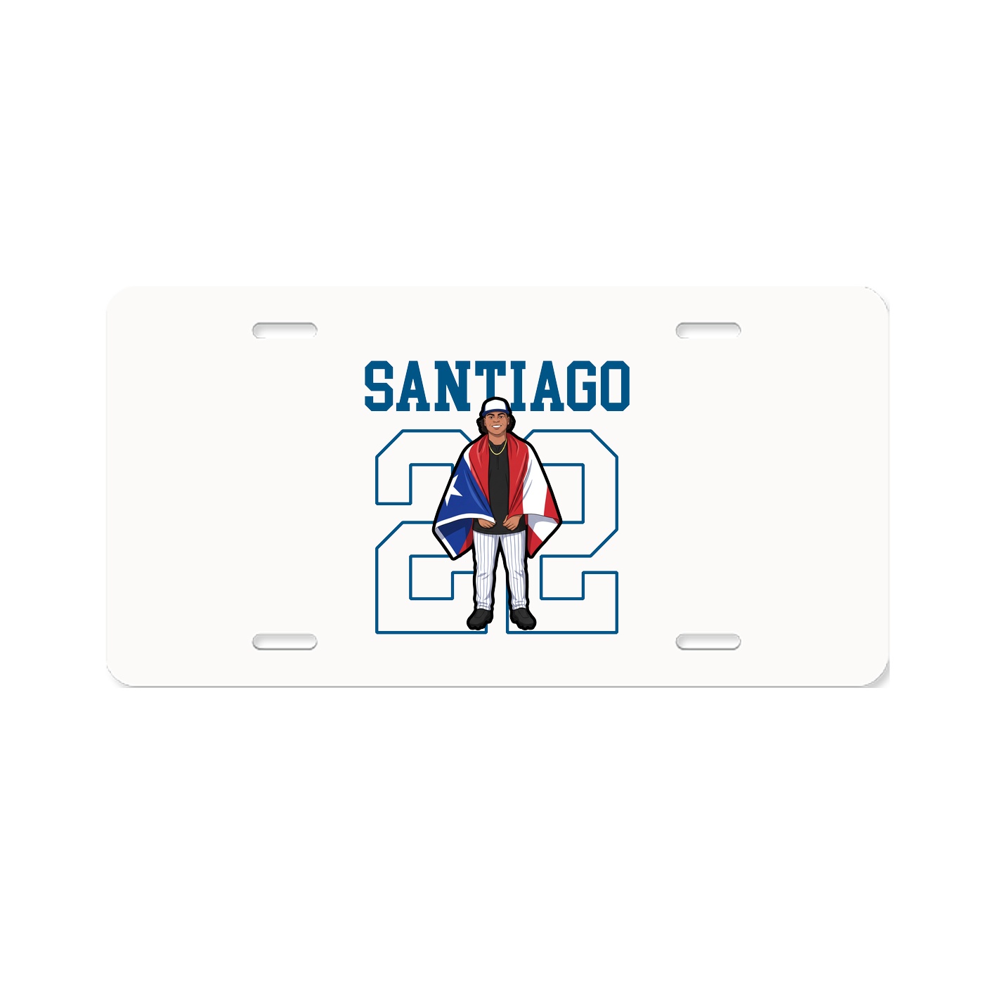 License Plate