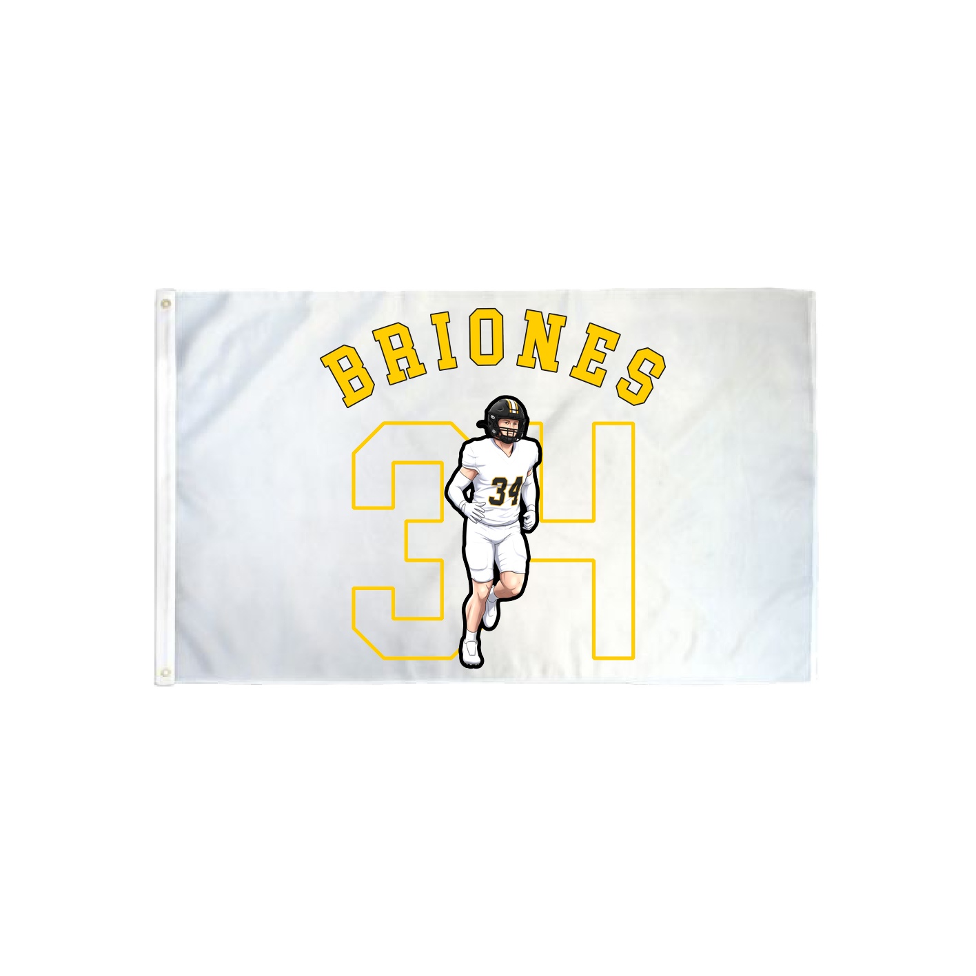 3x5 Flag — Shirsey Arch in Classic