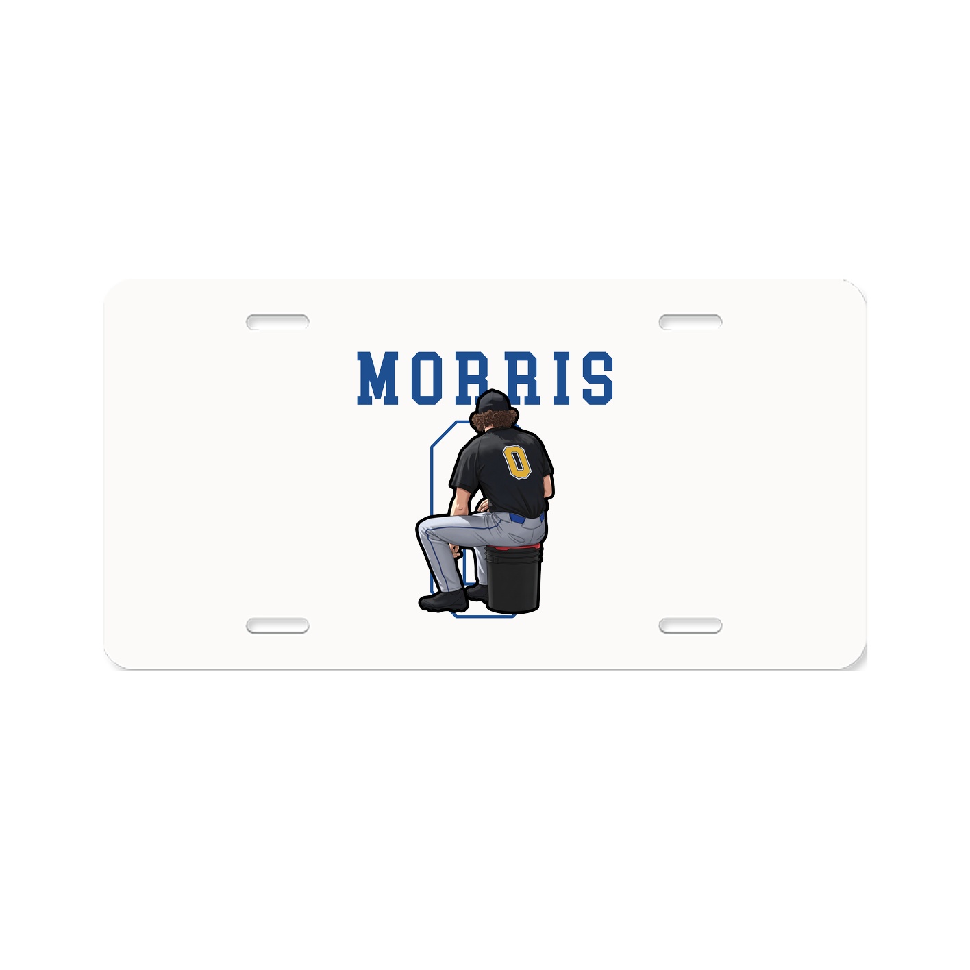 License Plate