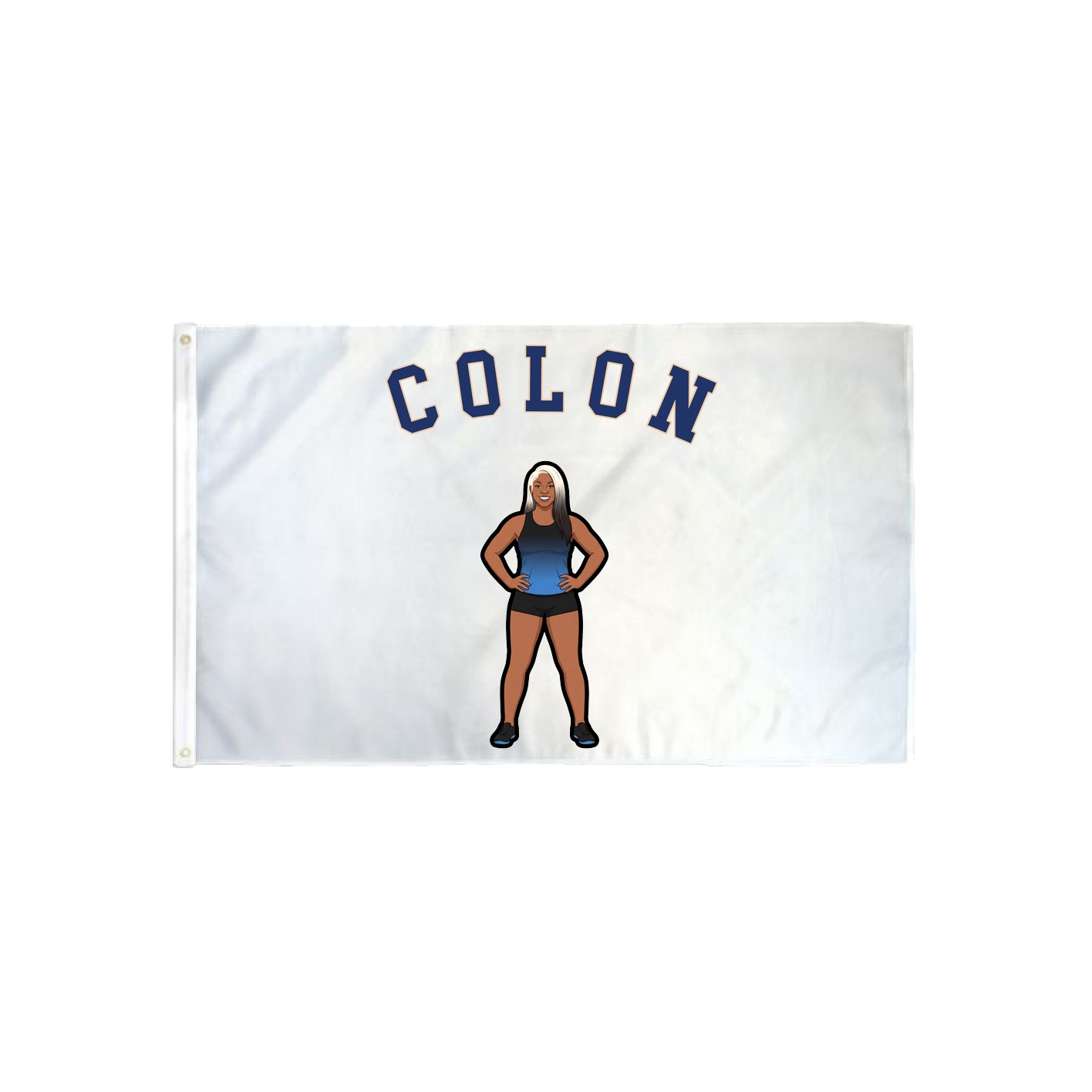 3x5 Flag — Shirsey Arch in Classic