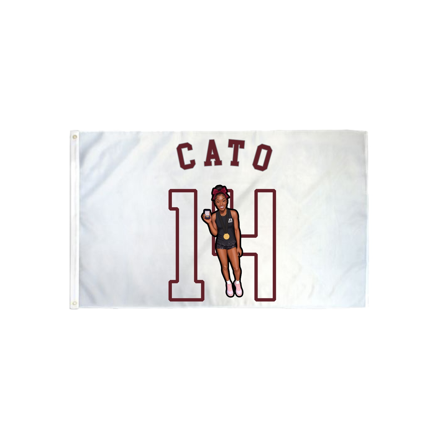 3x5 Flag — Shirsey Arch in Classic