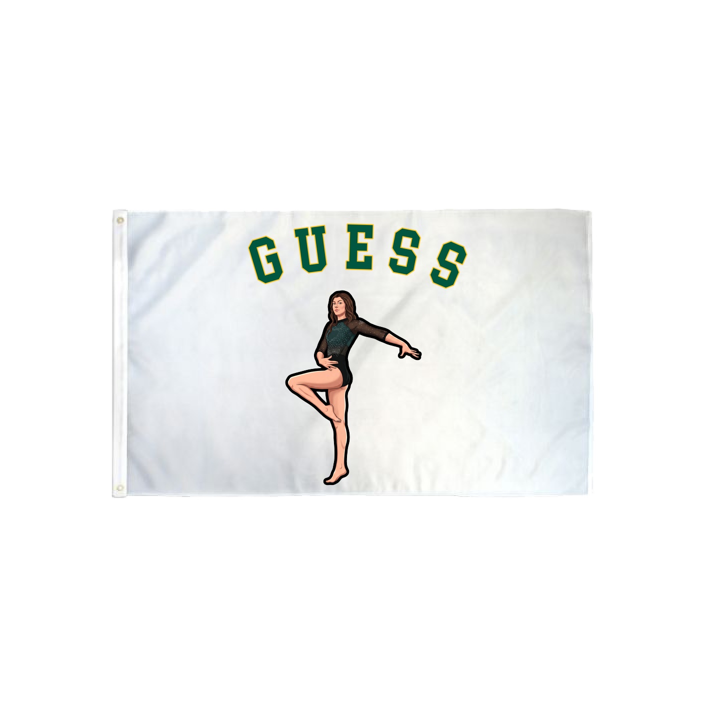 3x5 Flag — Shirsey Arch in Classic