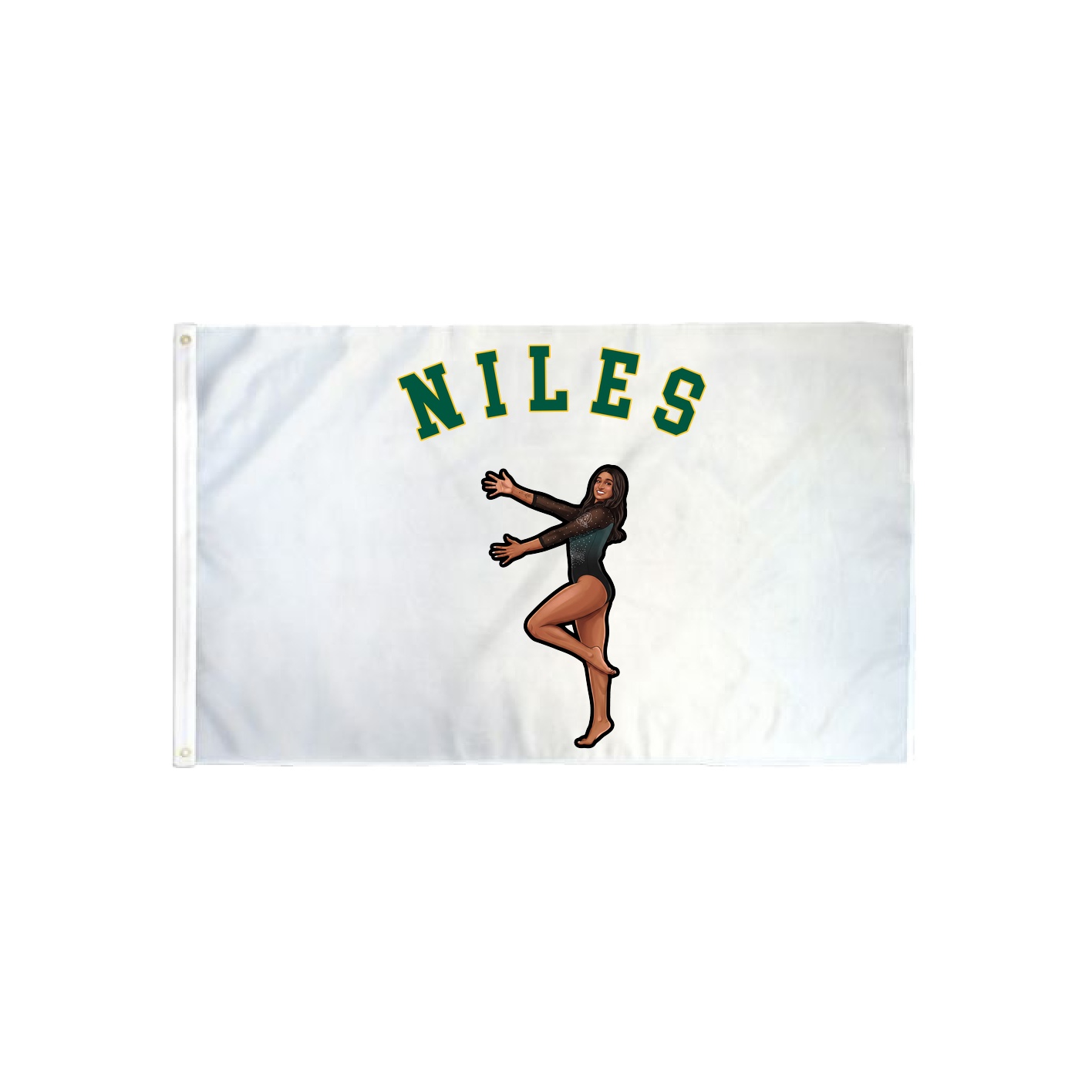 3x5 Flag — Shirsey Arch in Classic