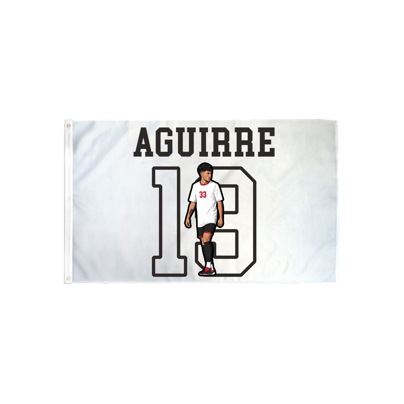 3x5 Flag — Shirsey in Classic