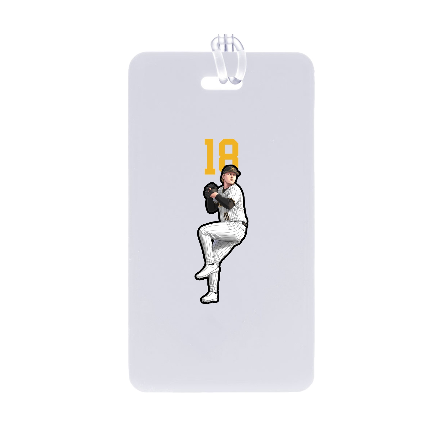 Identity Bag Tag