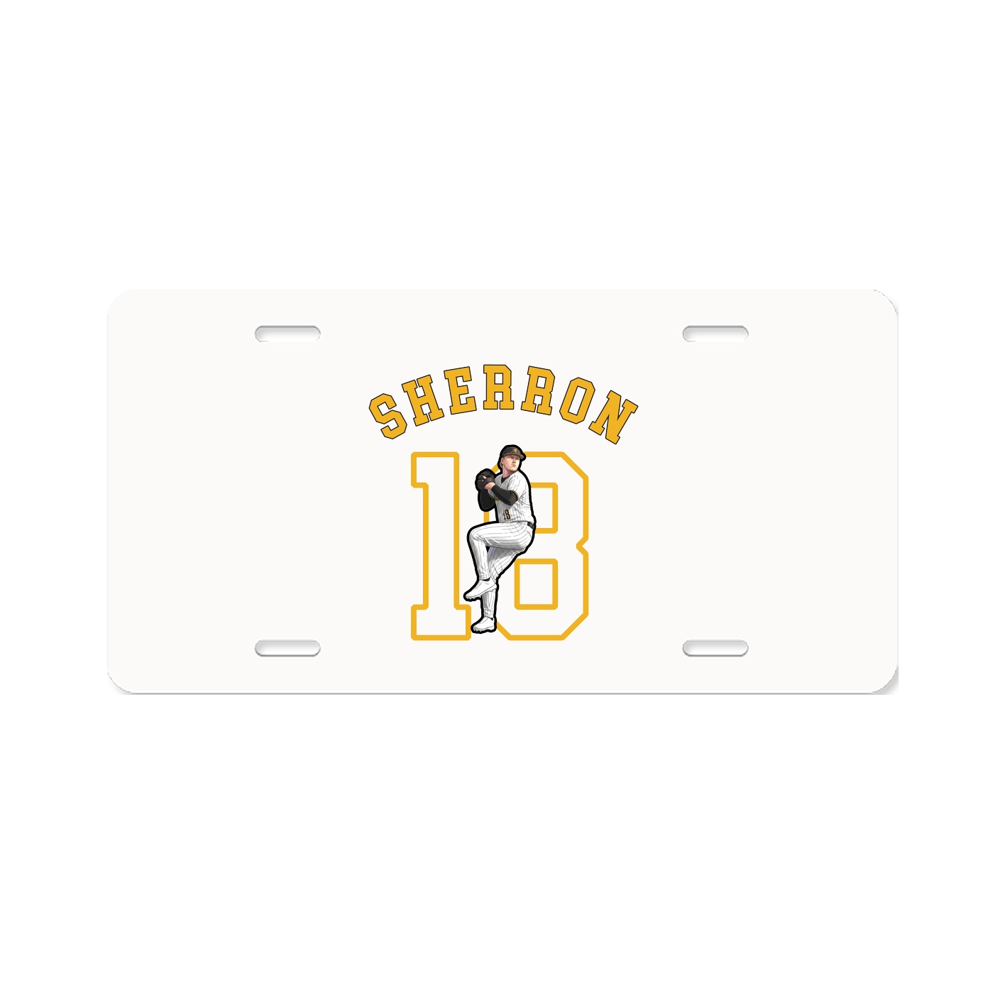 Aluminum License Plate