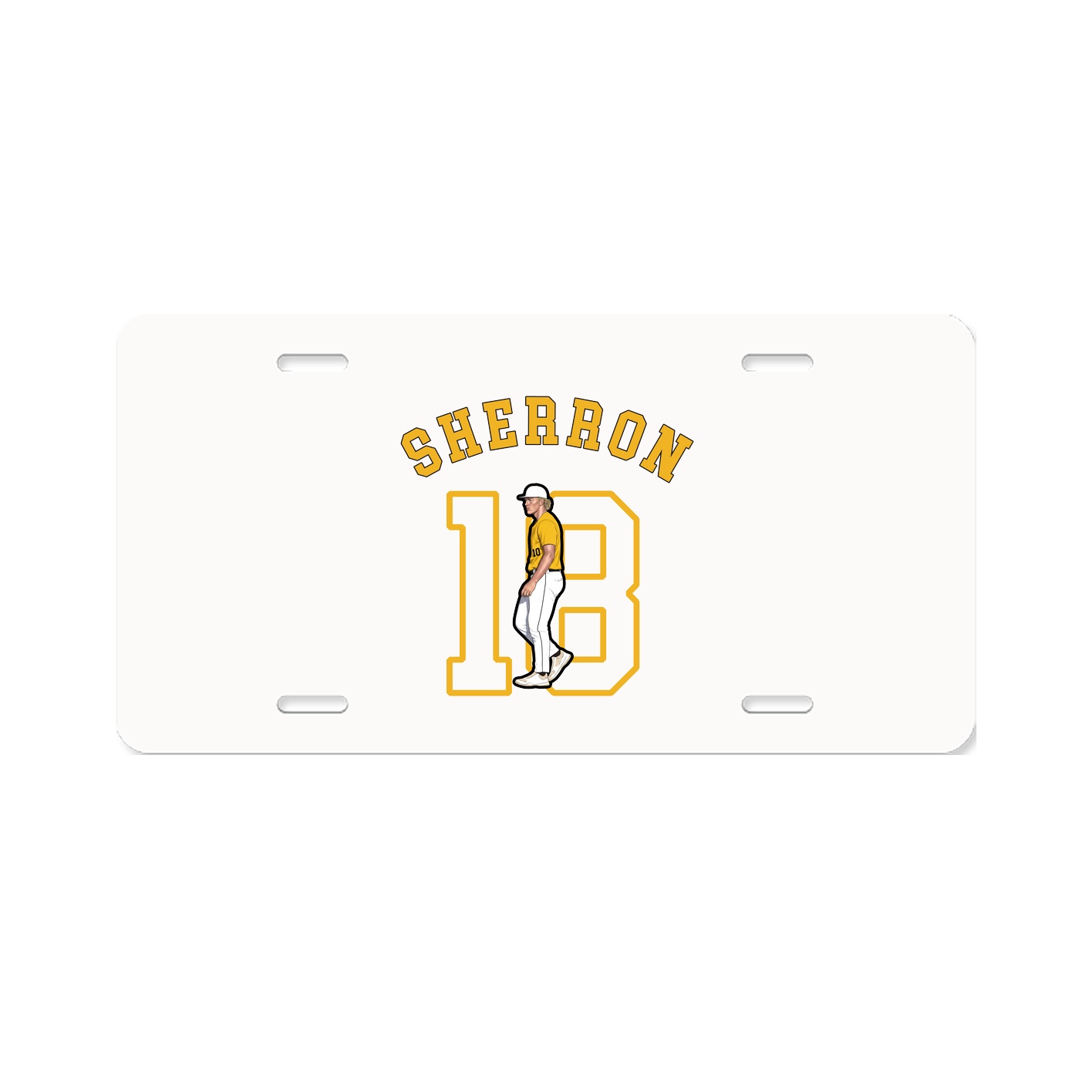 Aluminum License Plate