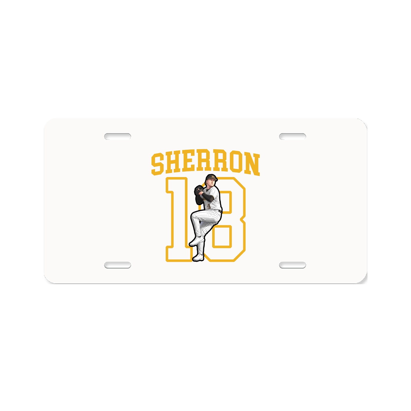 Aluminum License Plate