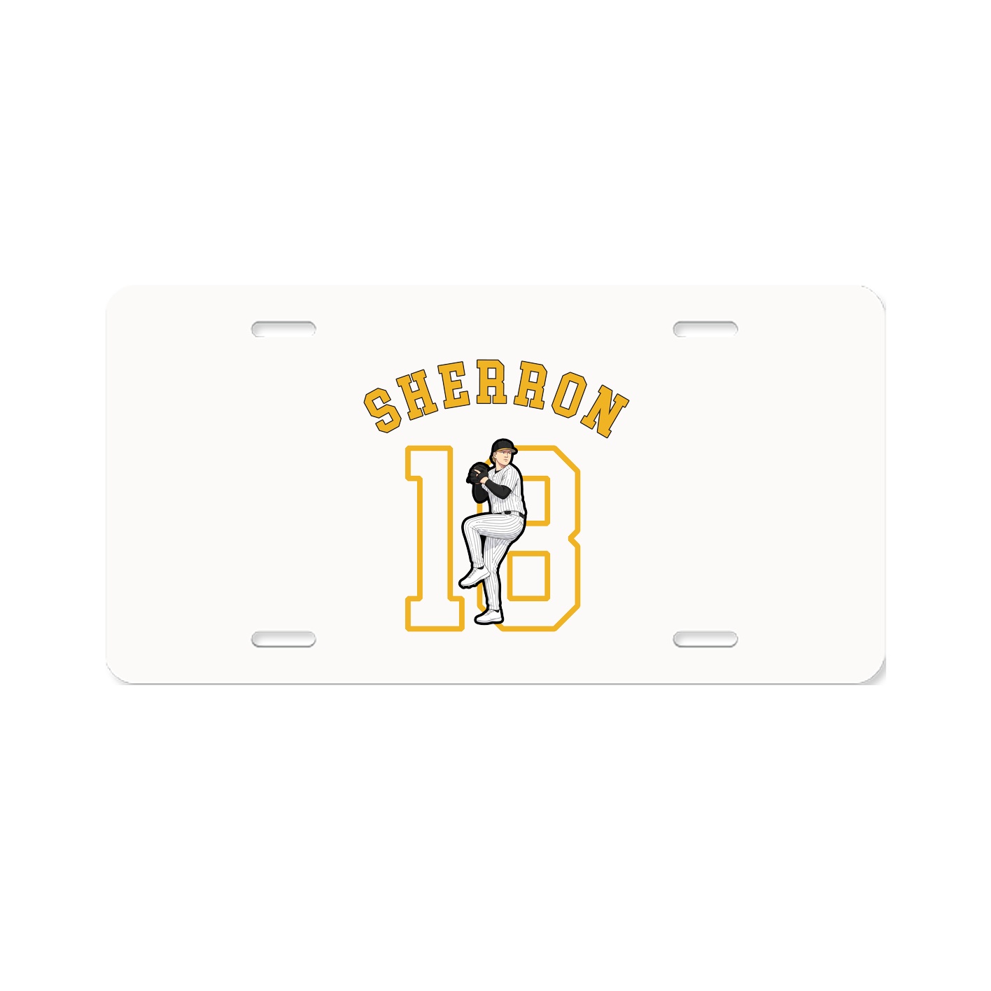 Aluminum License Plate