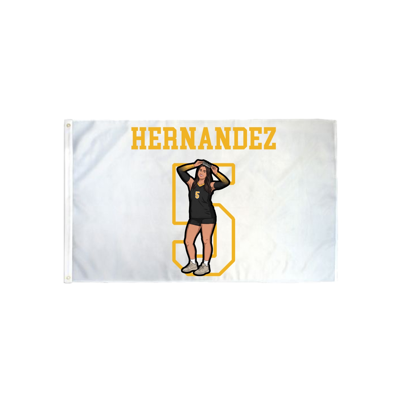 3x5 Flag — Shirsey in Classic