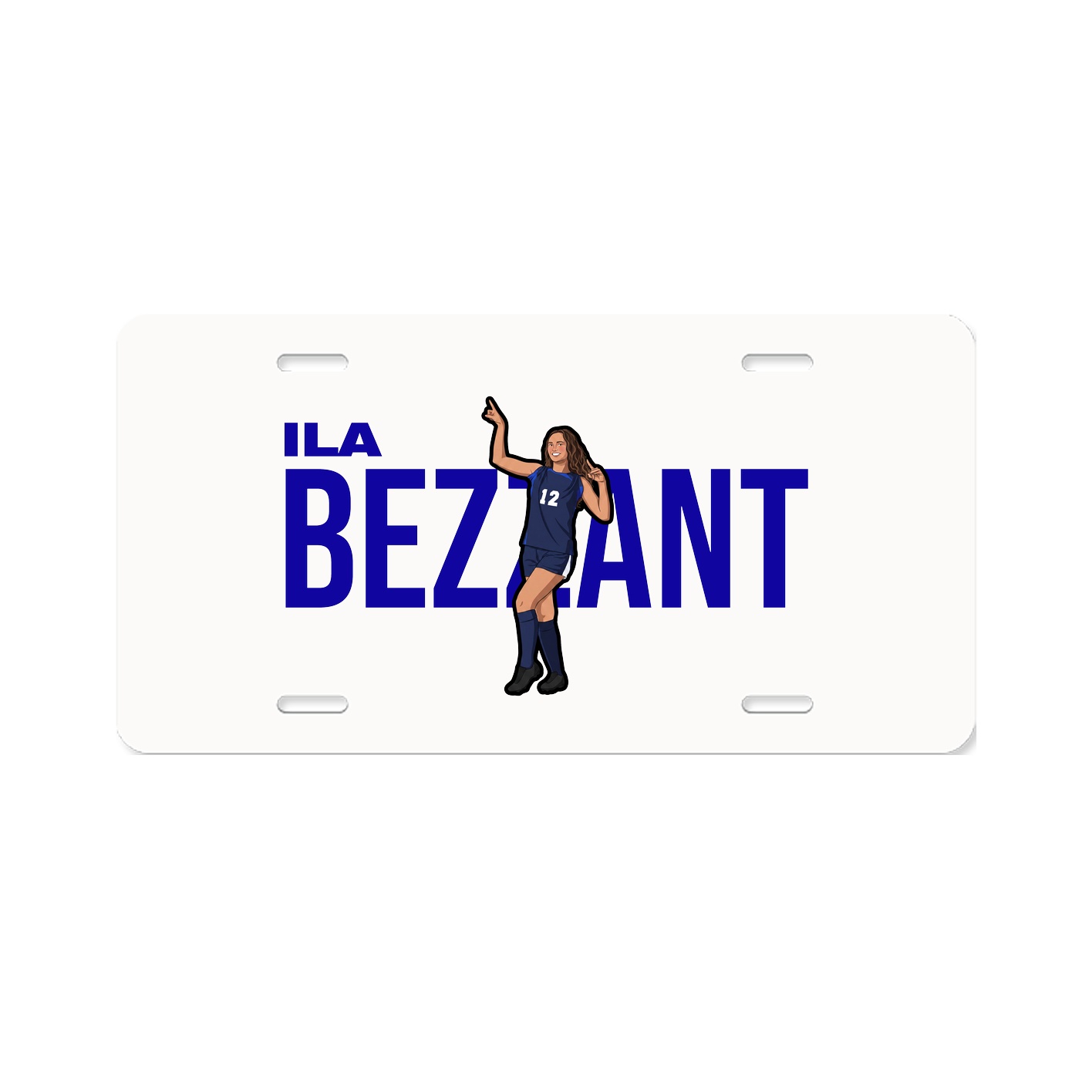 License Plate