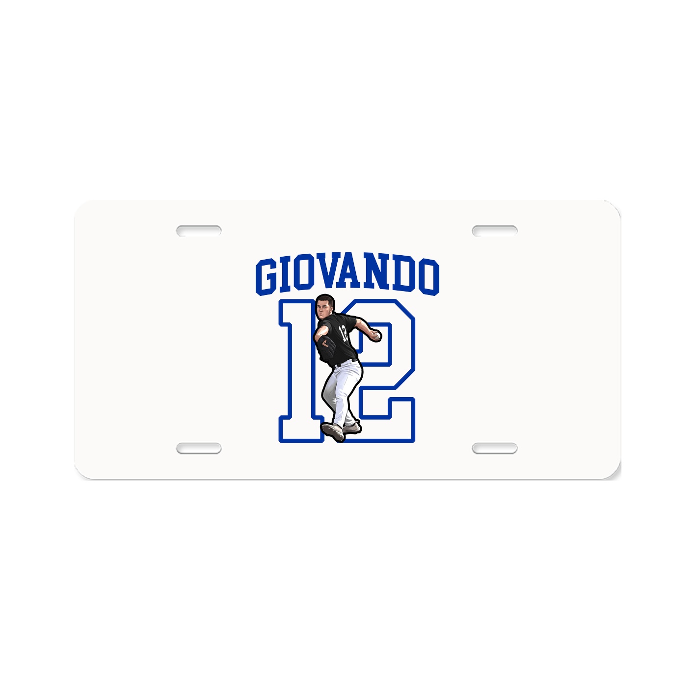 Aluminum License Plate